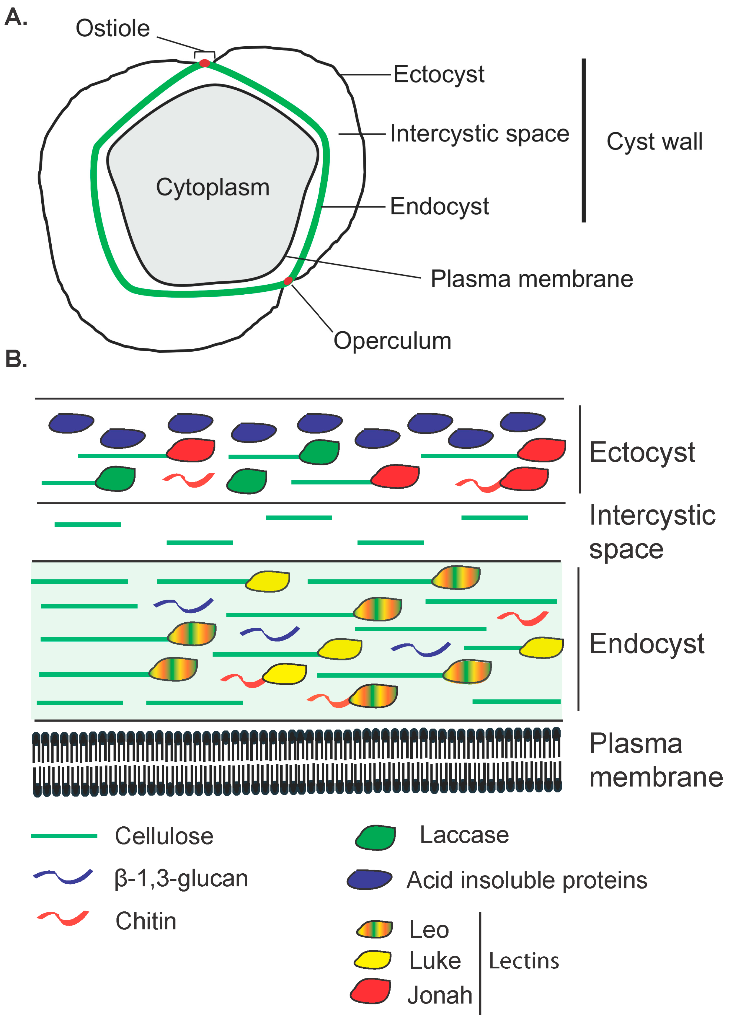 Pathogens 14 00268 g003