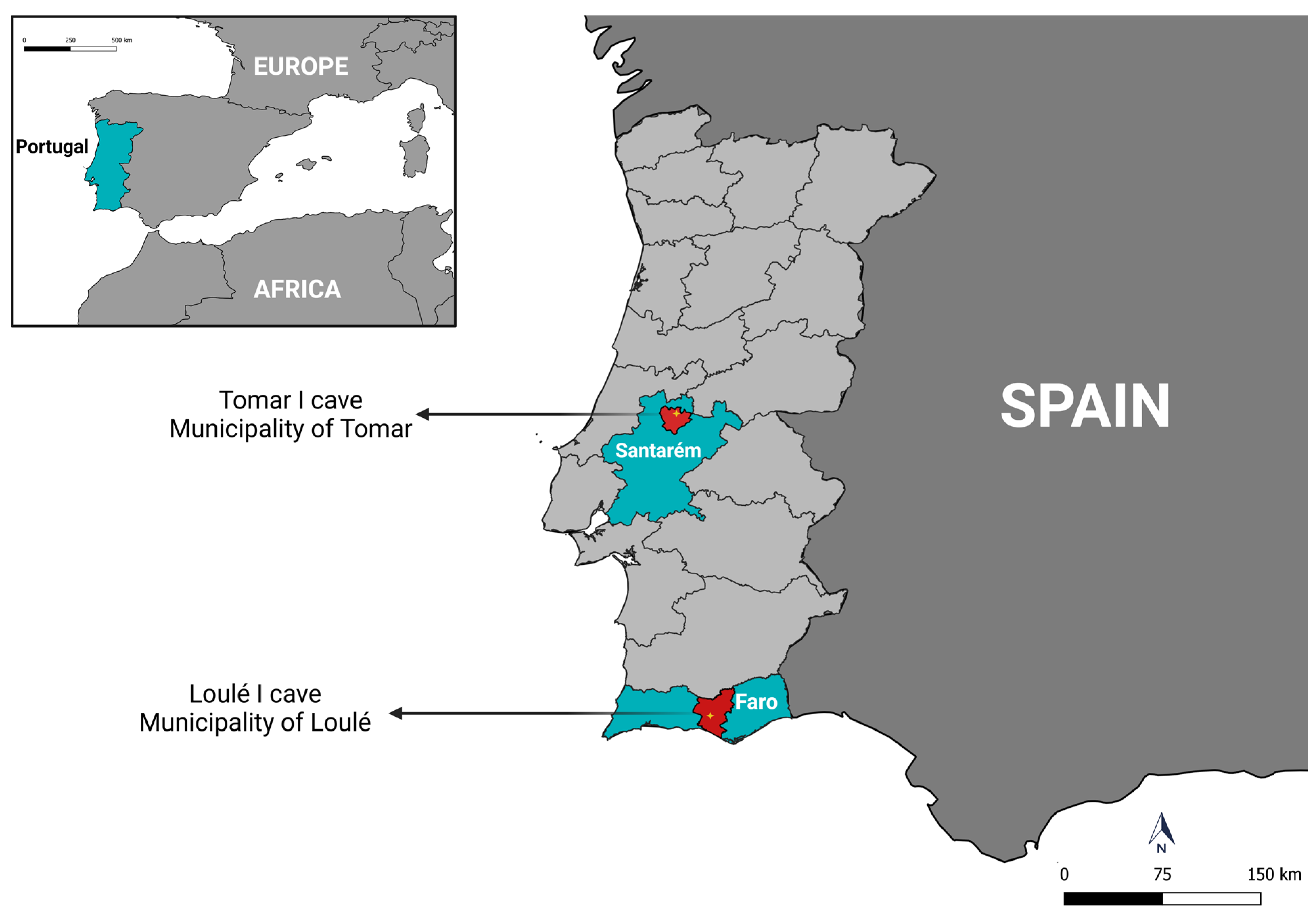 Pathogens 14 00273 g001