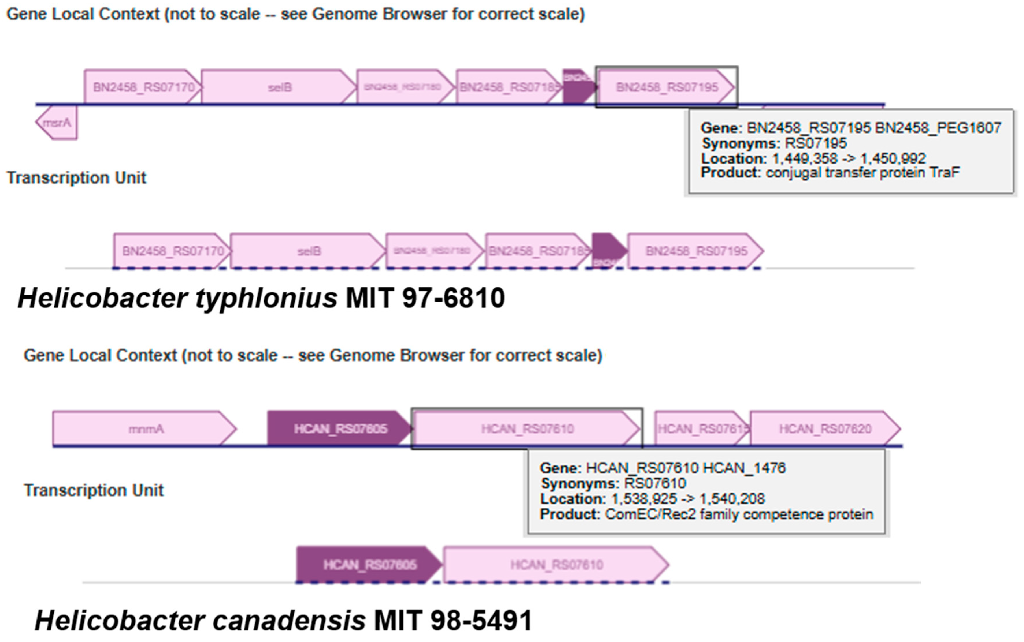 Pathogens 14 00275 g004