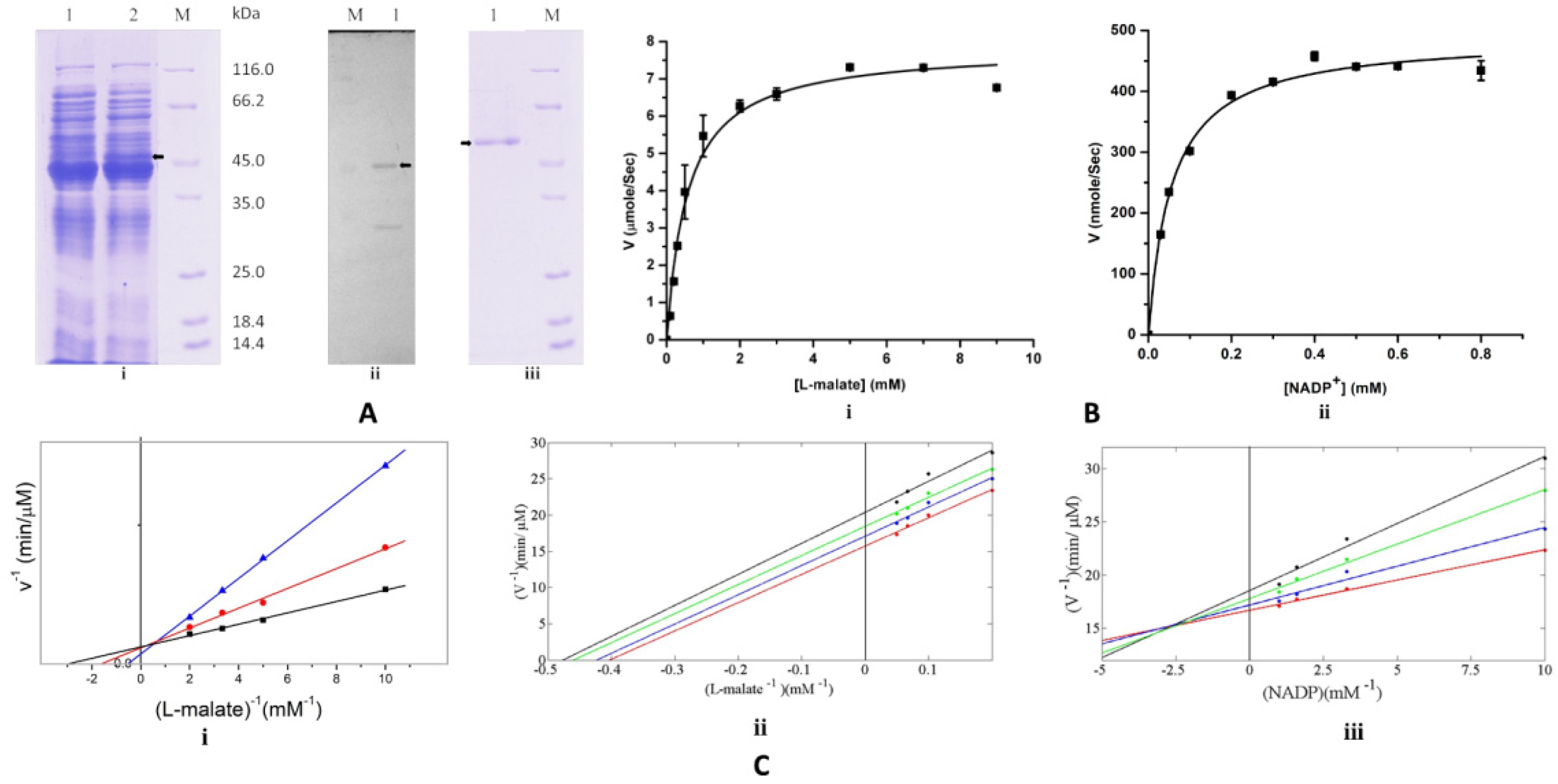 Pathogens 14 00277 g001