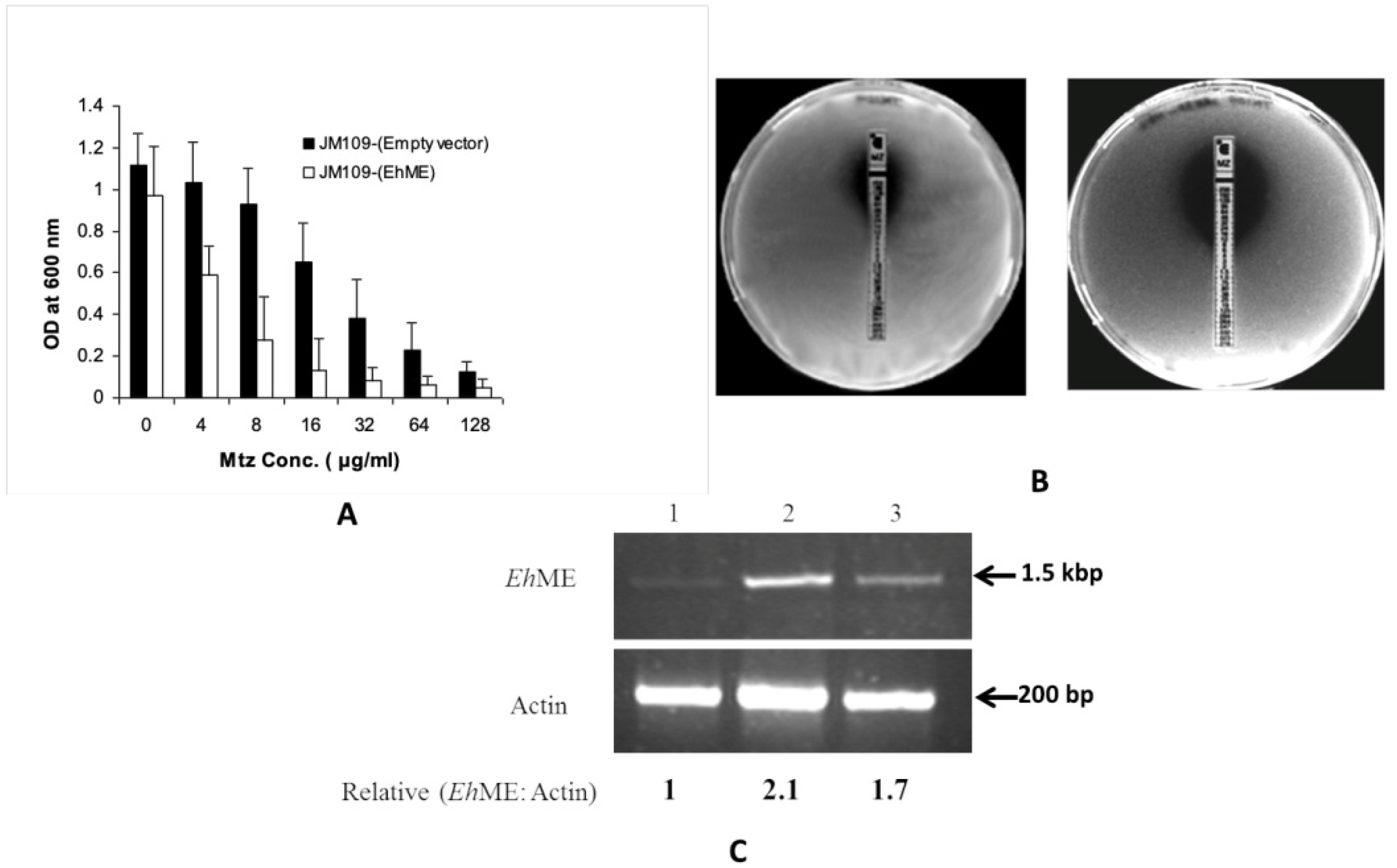 Pathogens 14 00277 g002