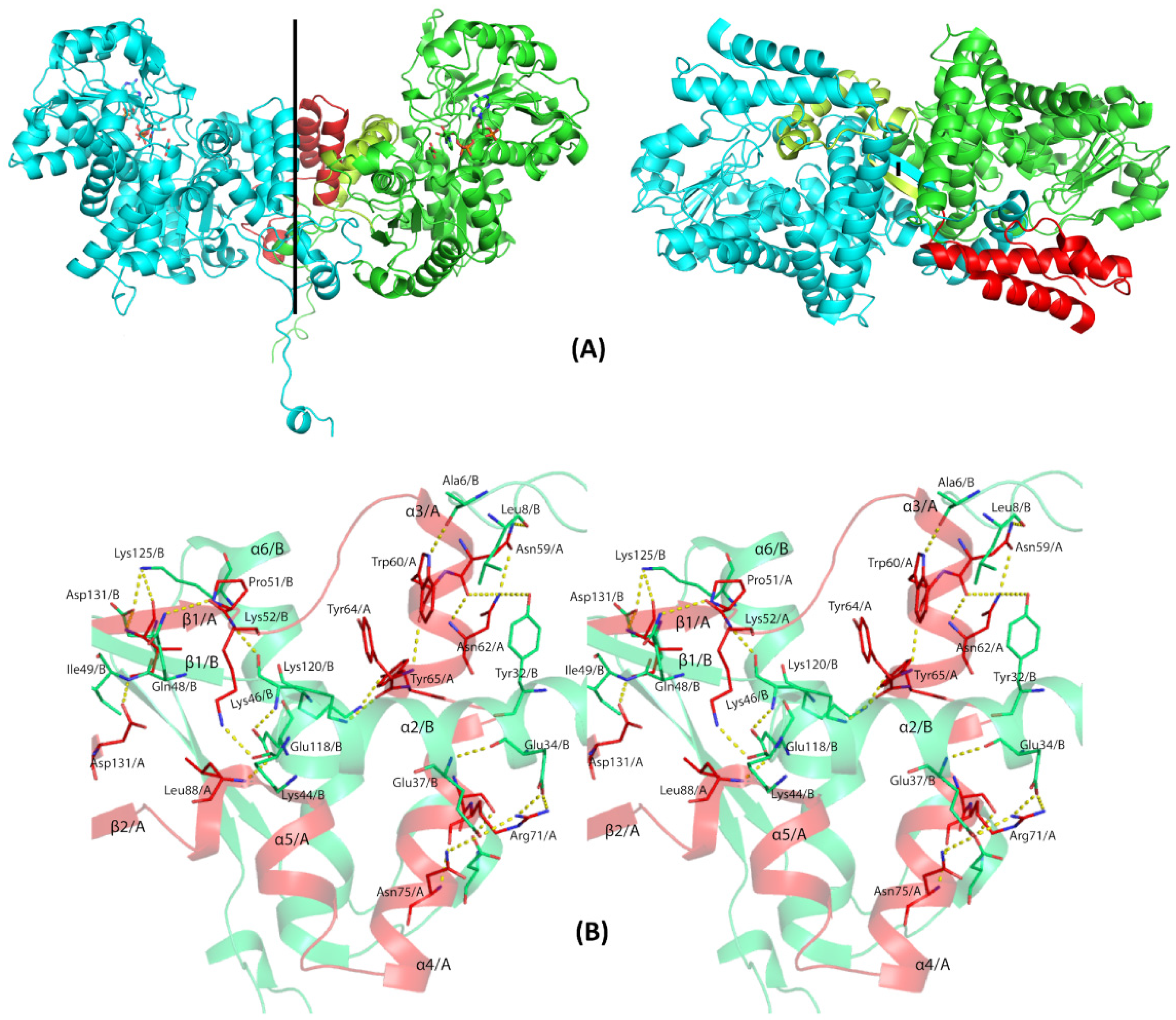 Pathogens 14 00277 g005