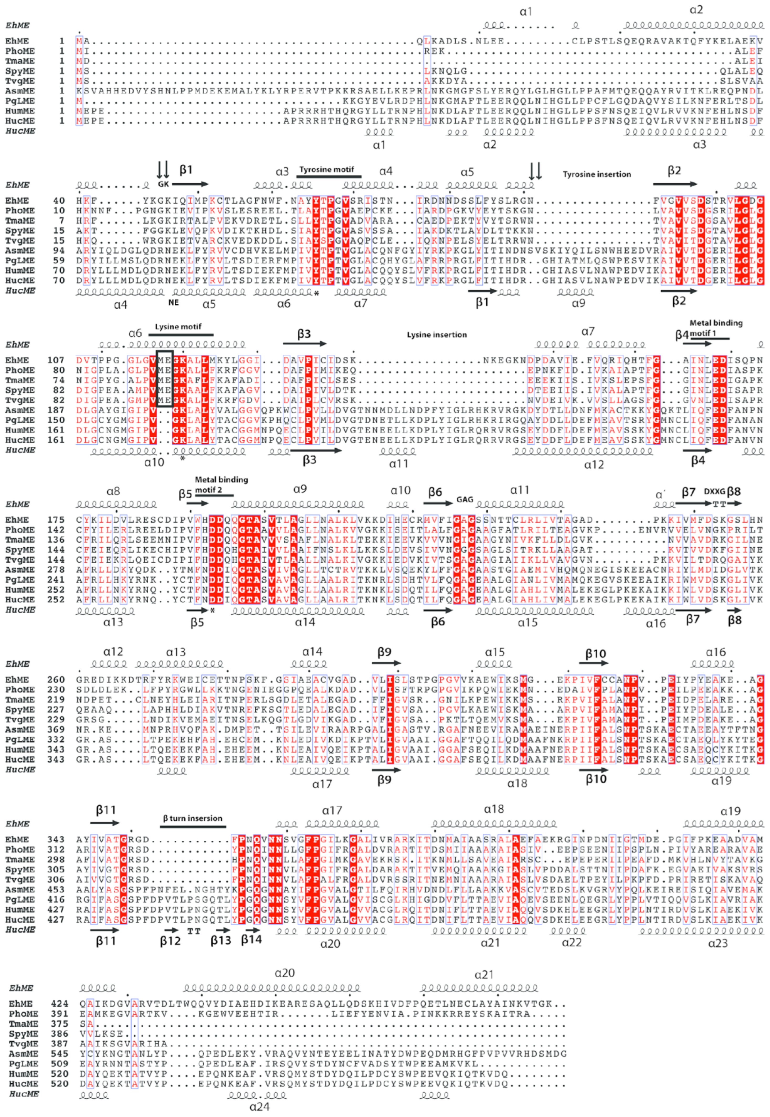 Pathogens 14 00277 g006