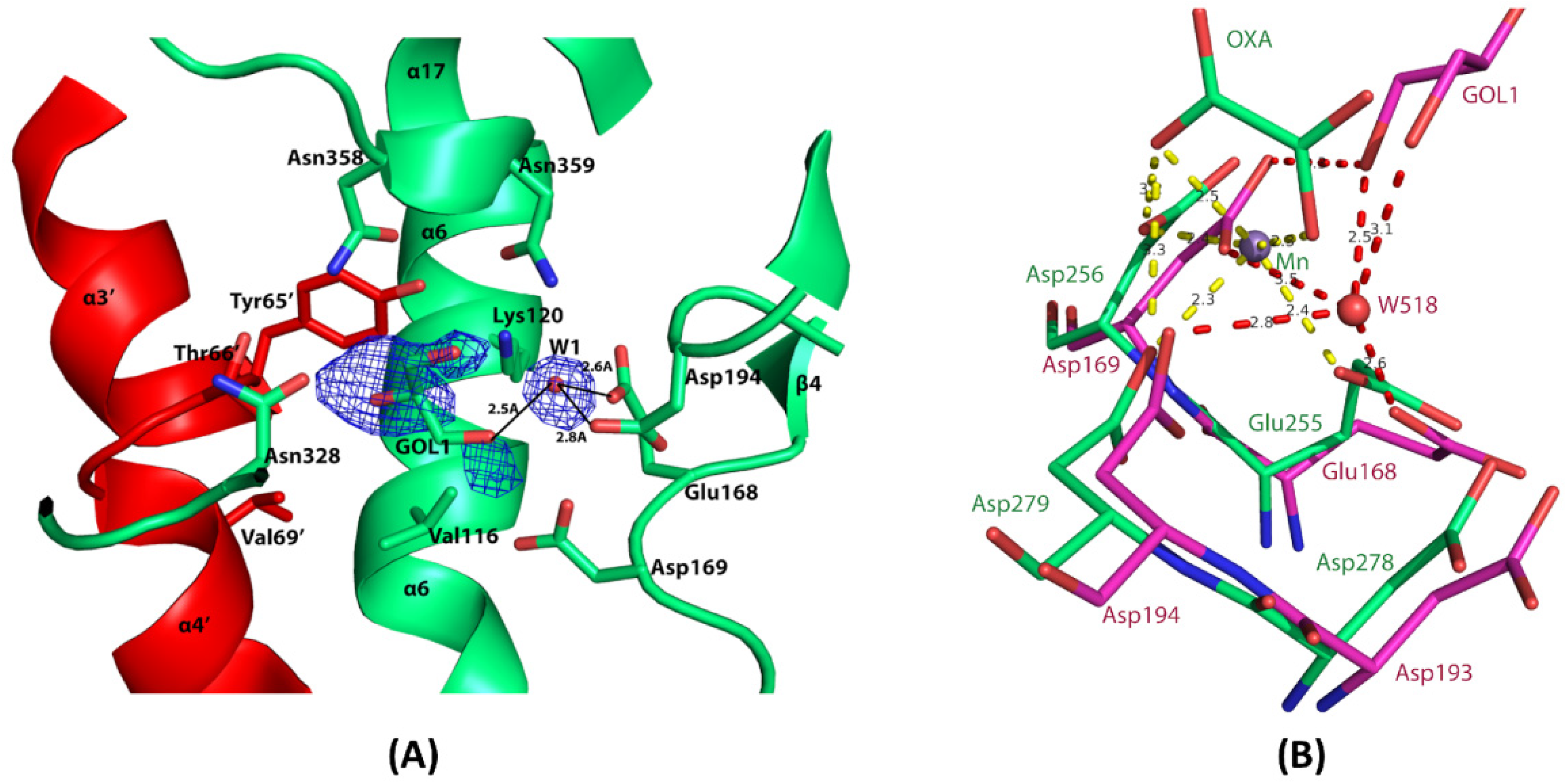 Pathogens 14 00277 g007
