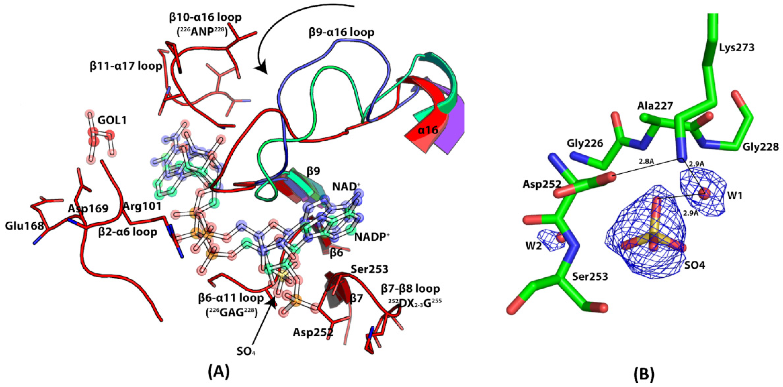 Pathogens 14 00277 g008