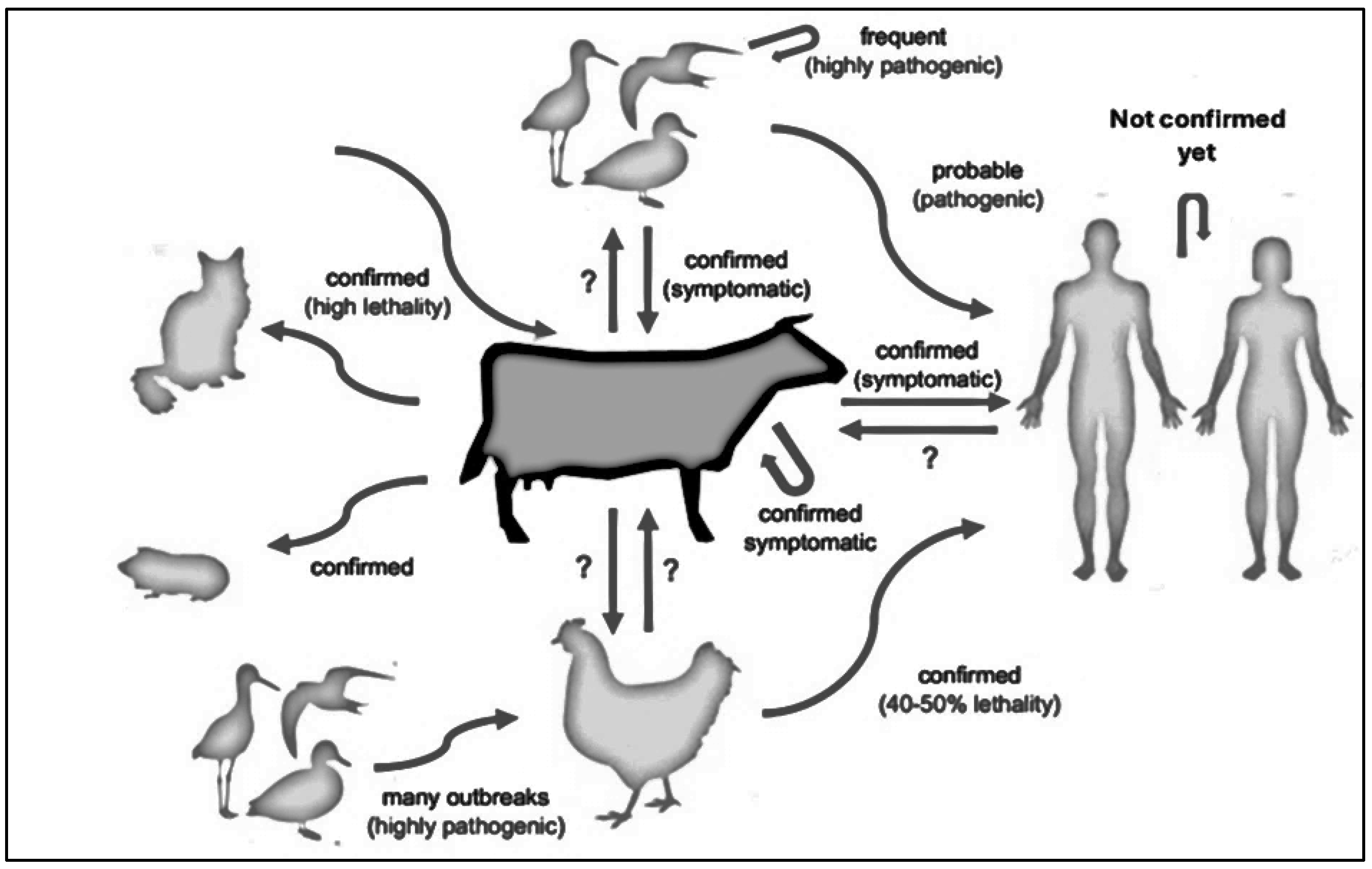 Pathogens 14 00278 g001 Pathogens 14 00278 g001