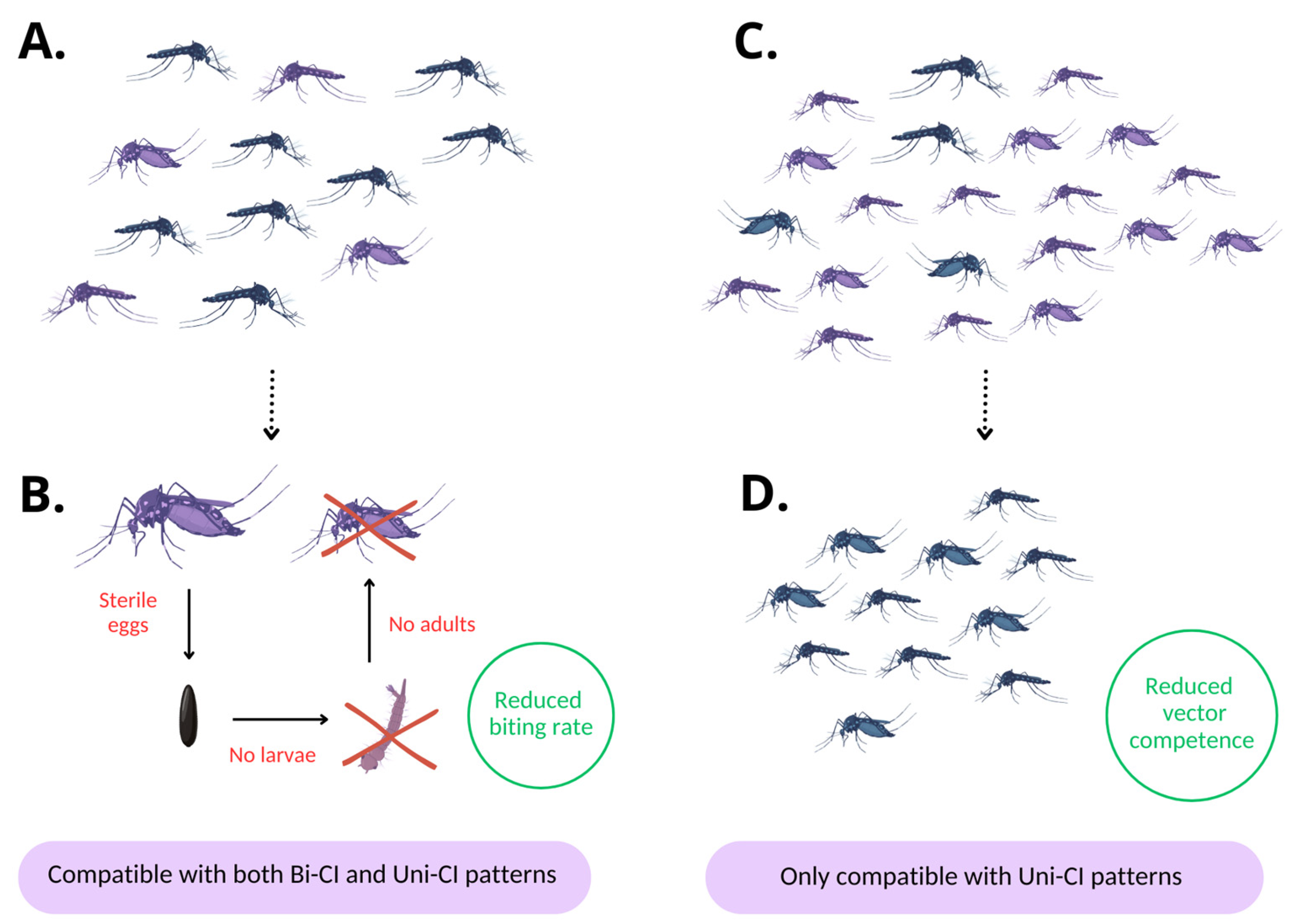 Pathogens 14 00285 g002