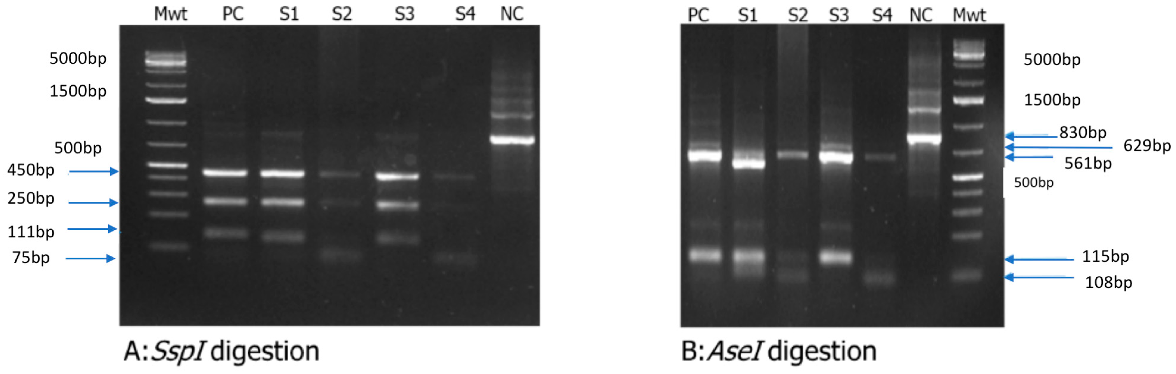 Pathogens 14 00287 g003