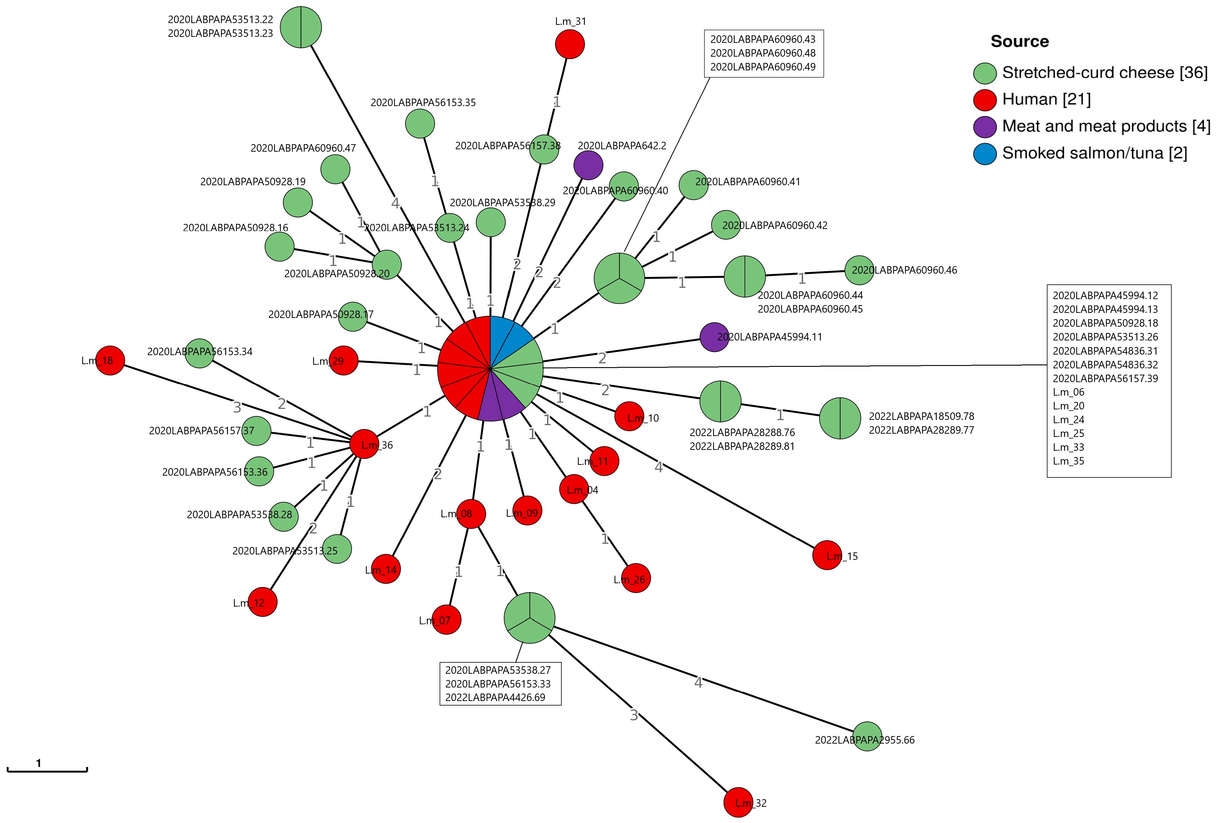 Pathogens 14 00294 g003