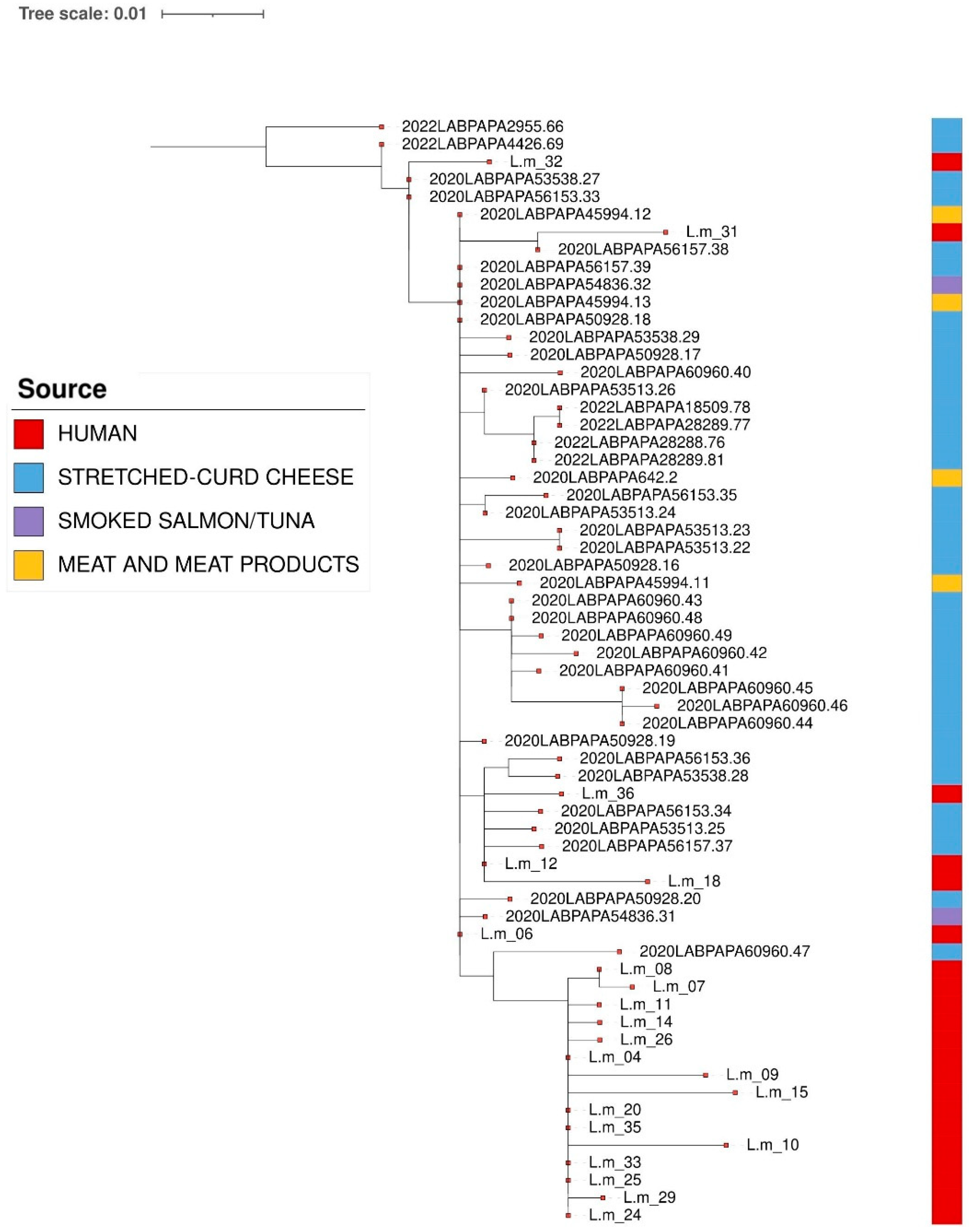 Pathogens 14 00294 g004