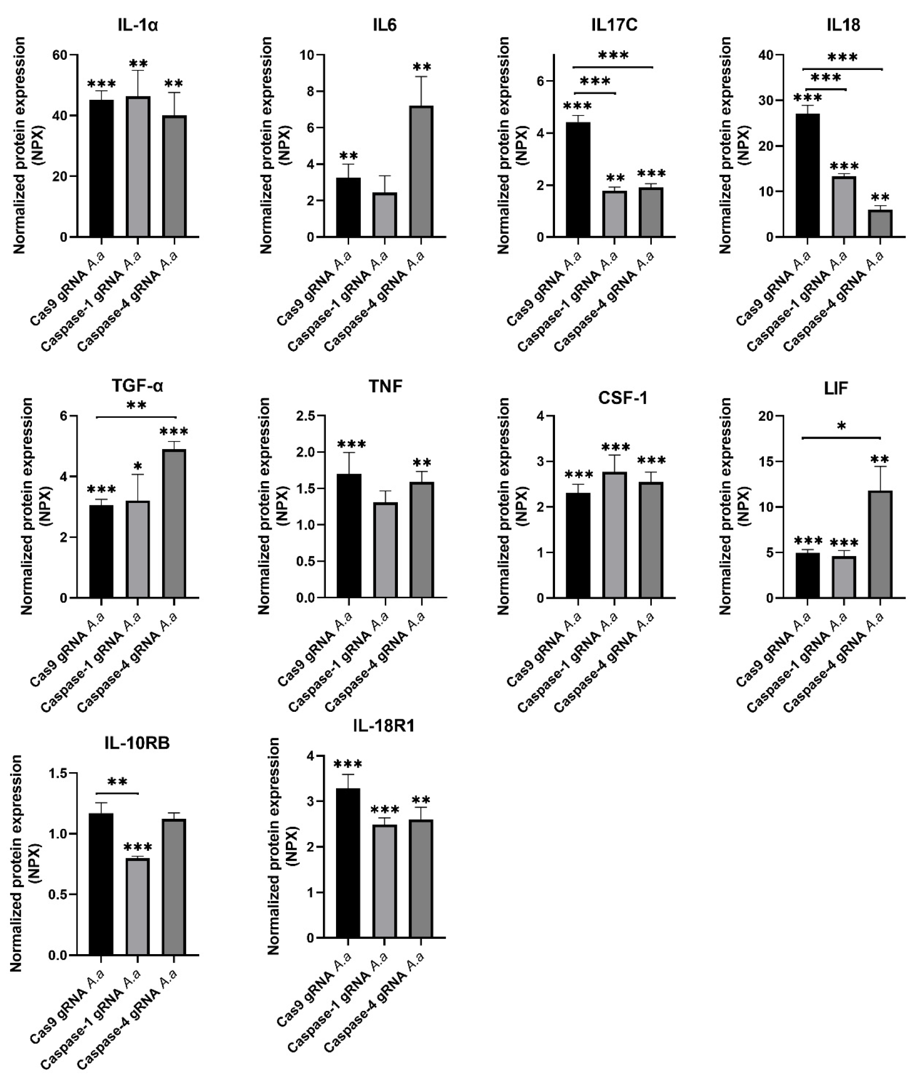 Pathogens 14 00295 g001