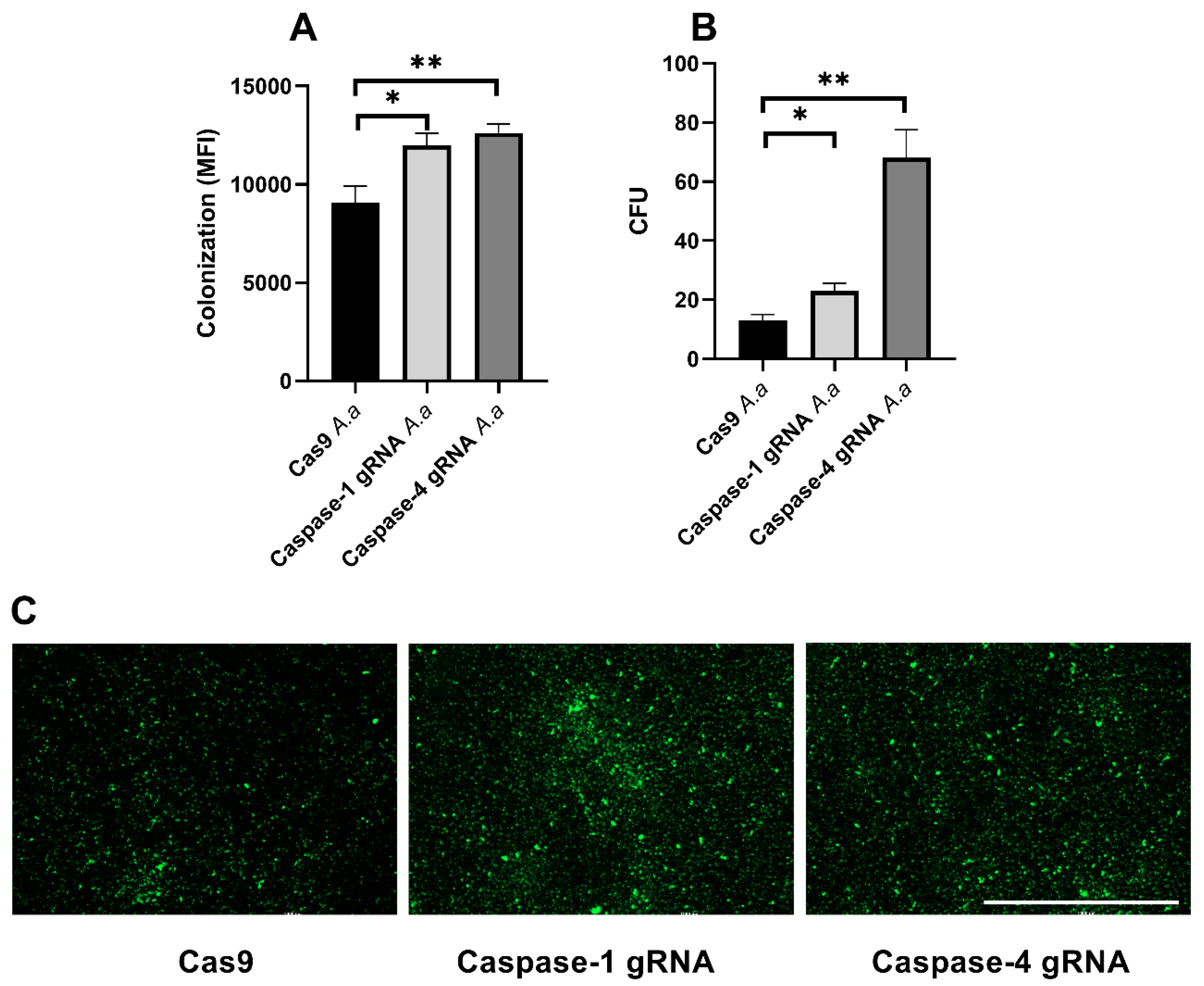 Pathogens 14 00295 g005