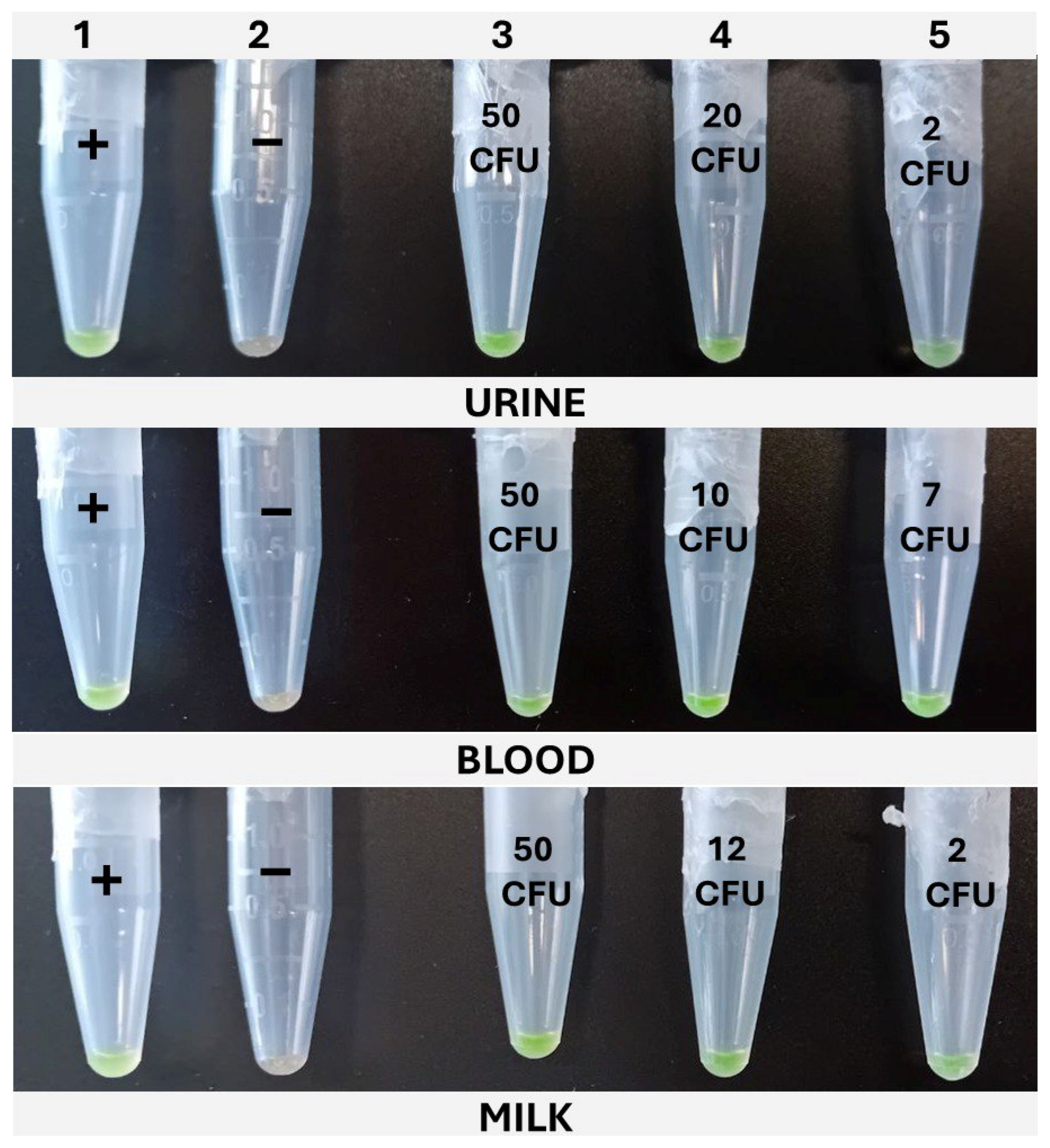 Pathogens 14 00296 g006