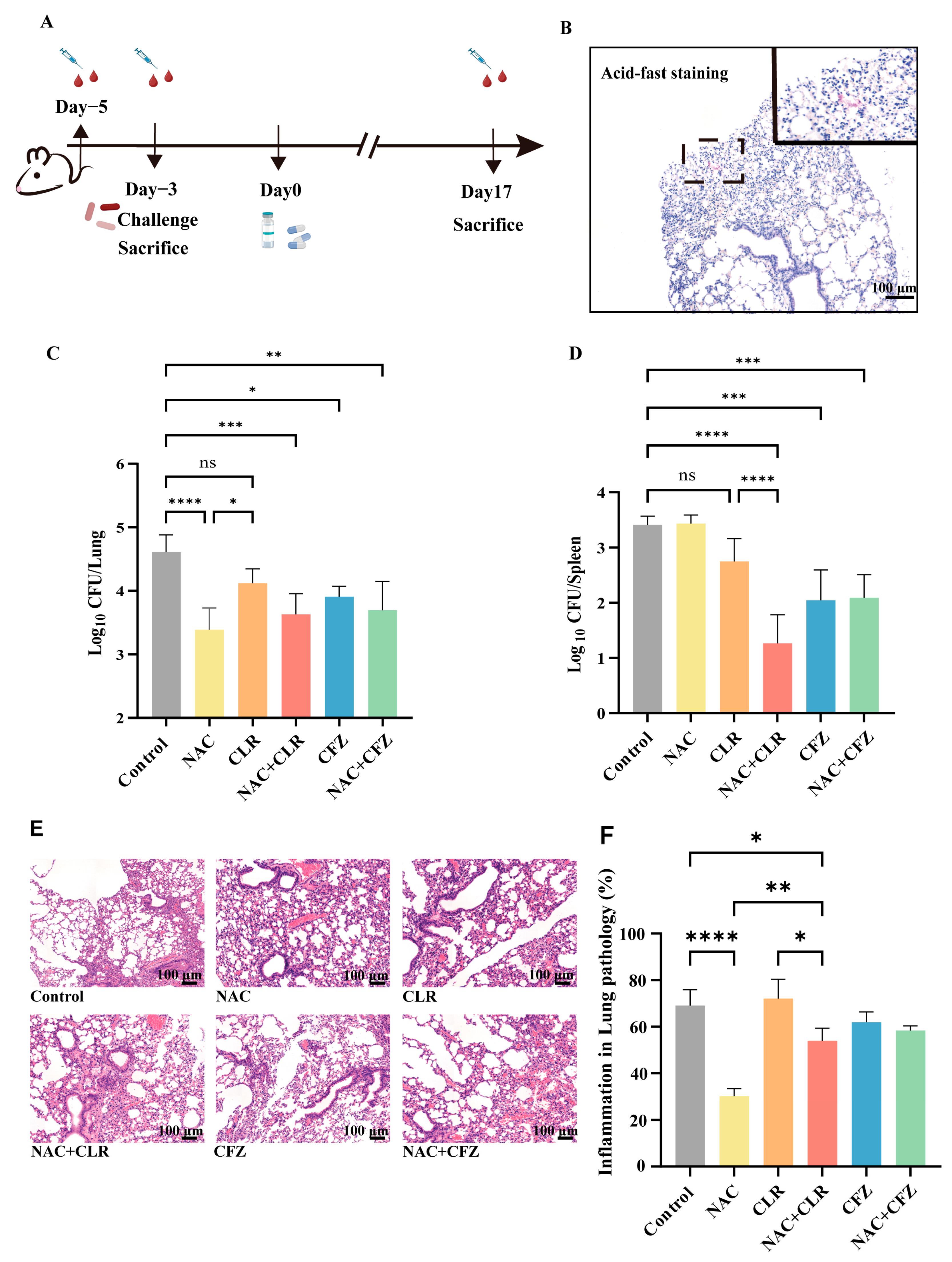 Pathogens 14 00302 g002