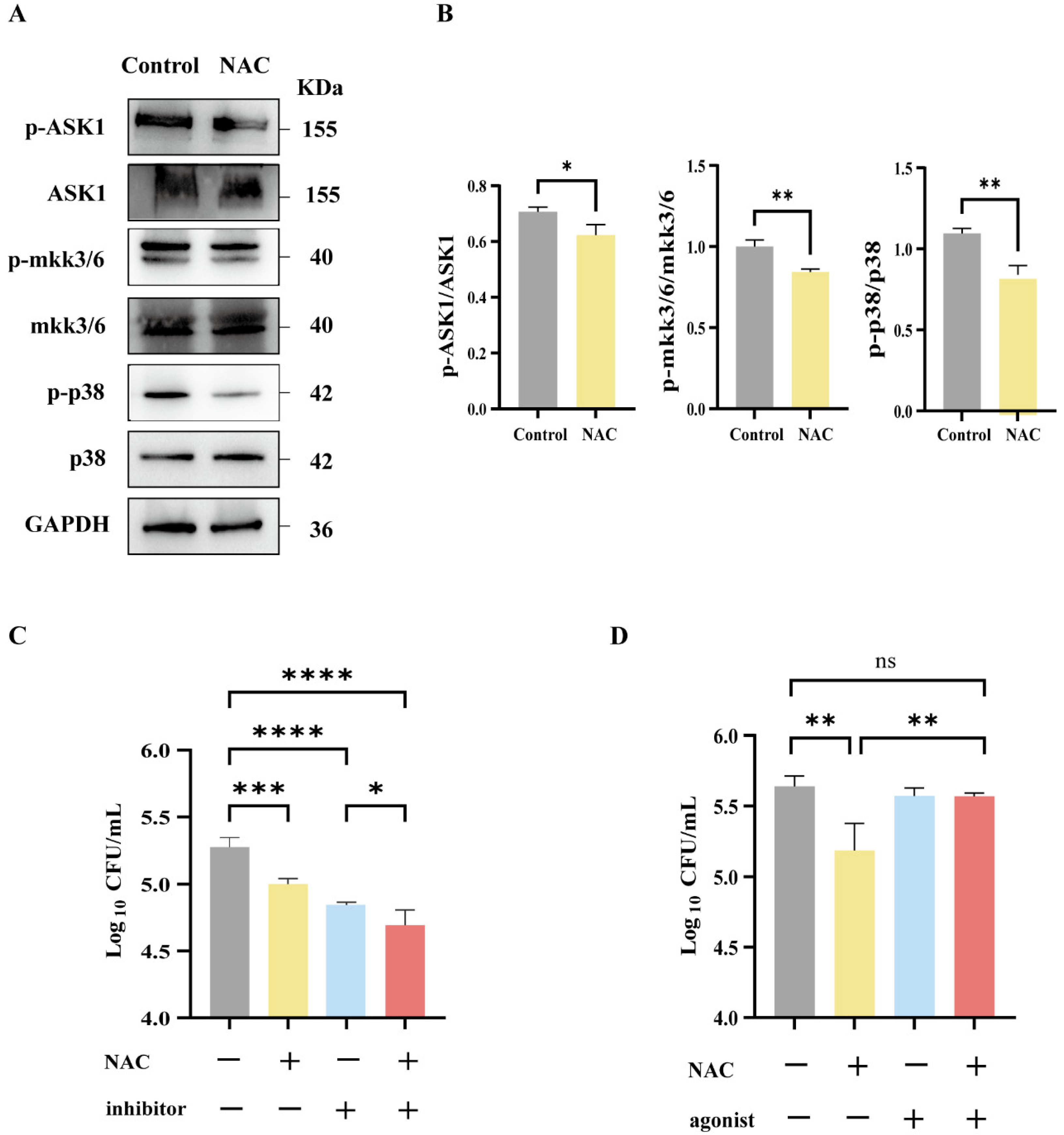 Pathogens 14 00302 g005
