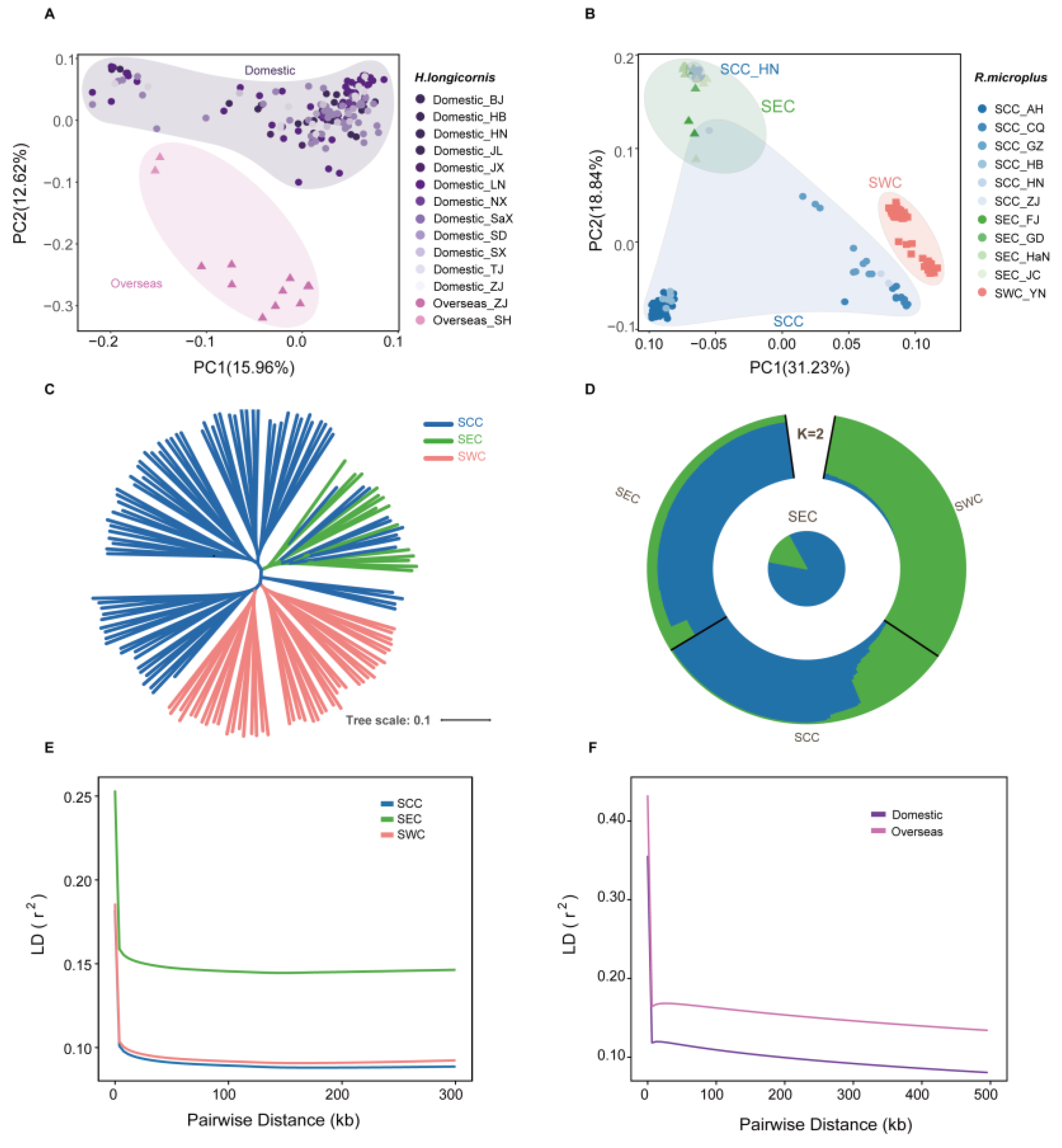 Pathogens 14 00306 g001