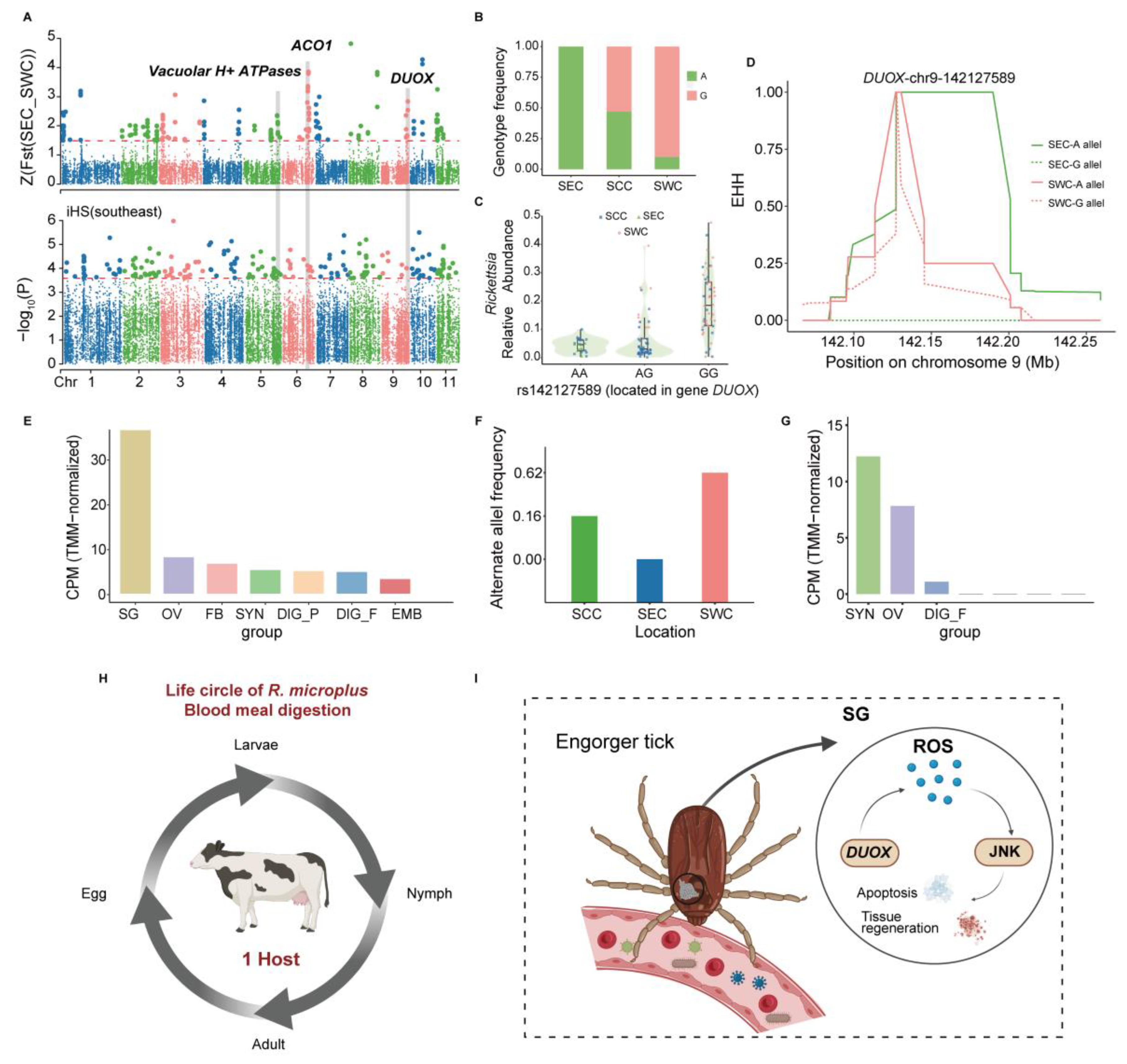 Pathogens 14 00306 g003
