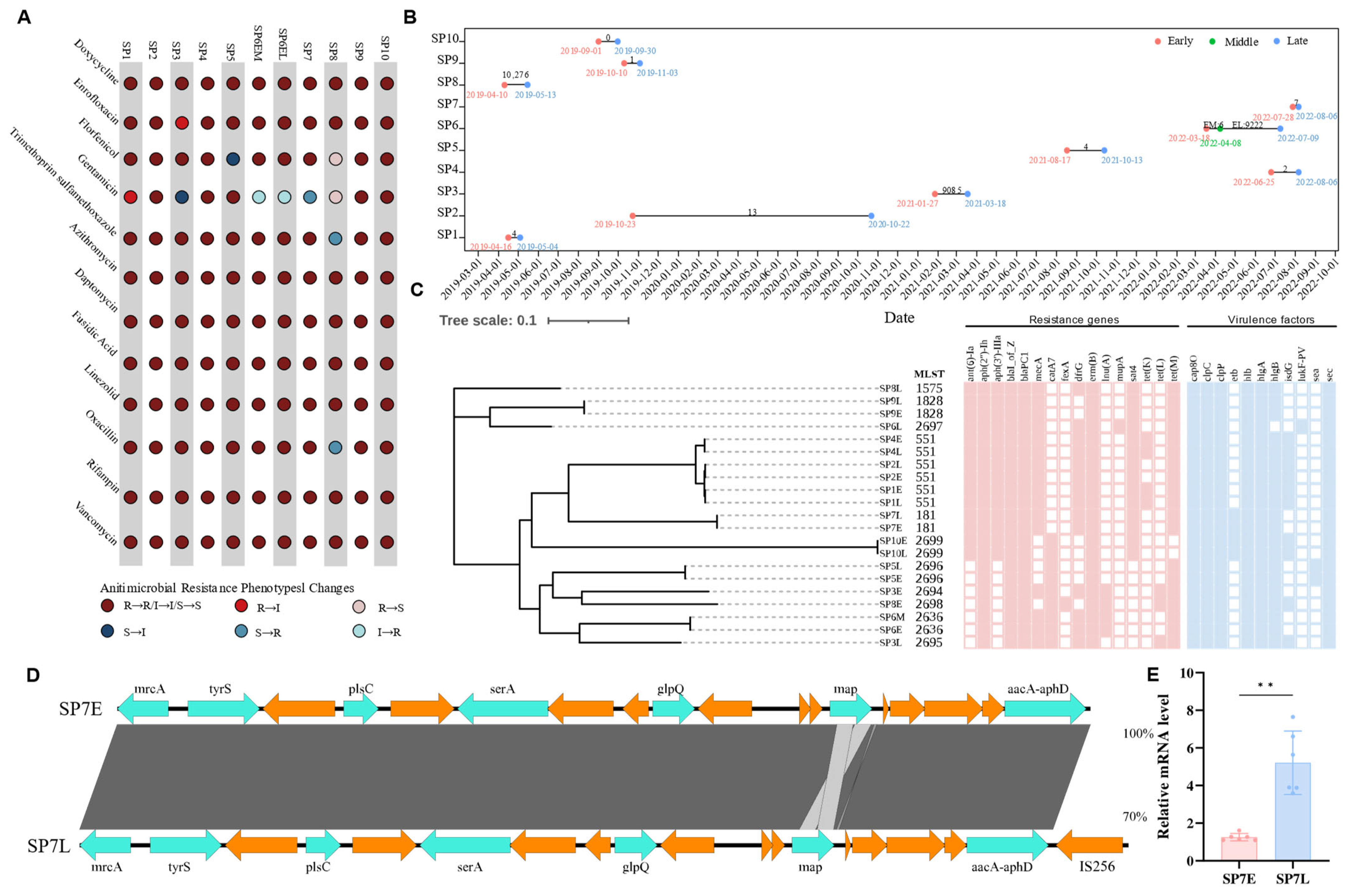 Pathogens 14 00309 g004