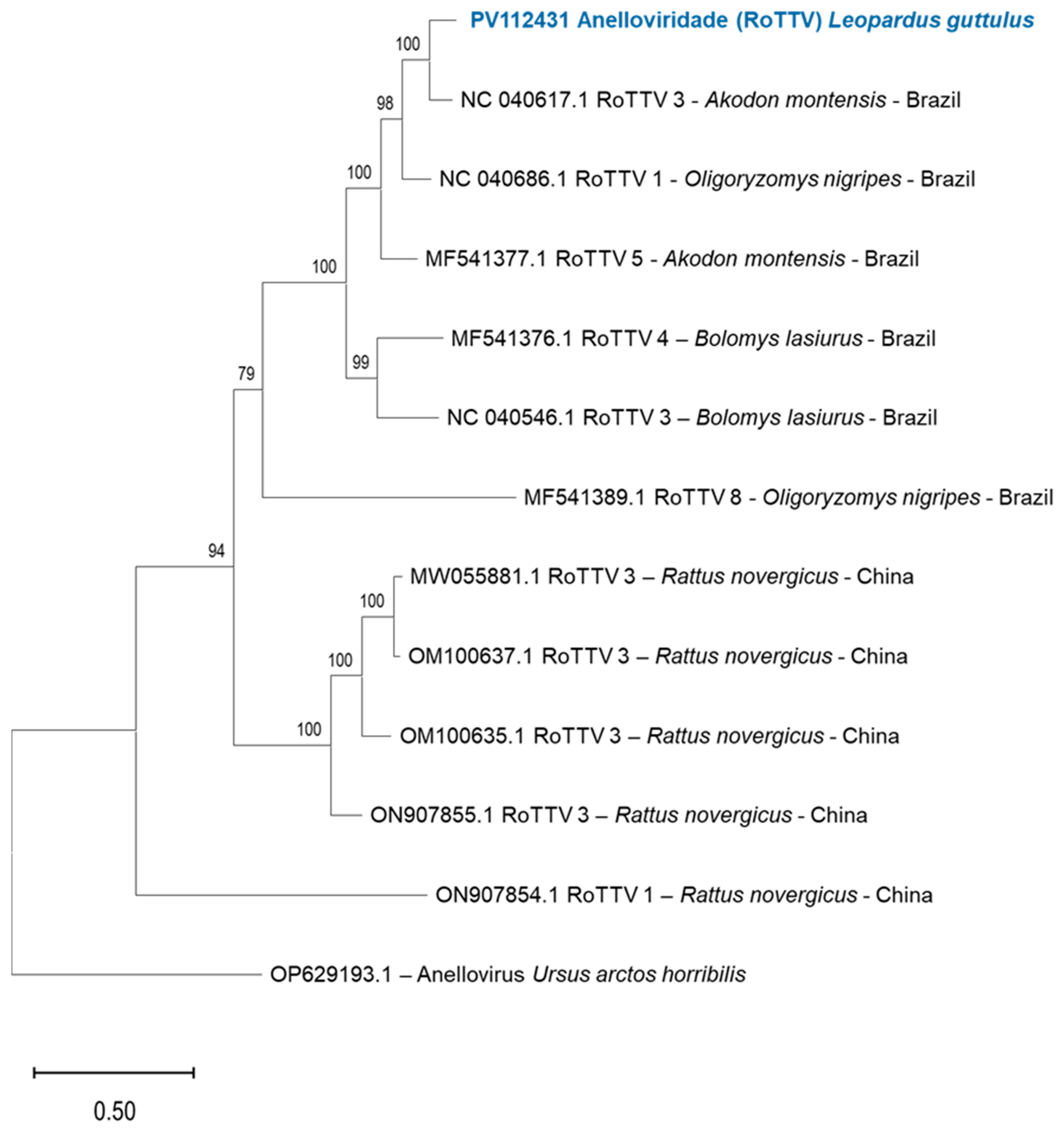 Pathogens 14 00310 g007