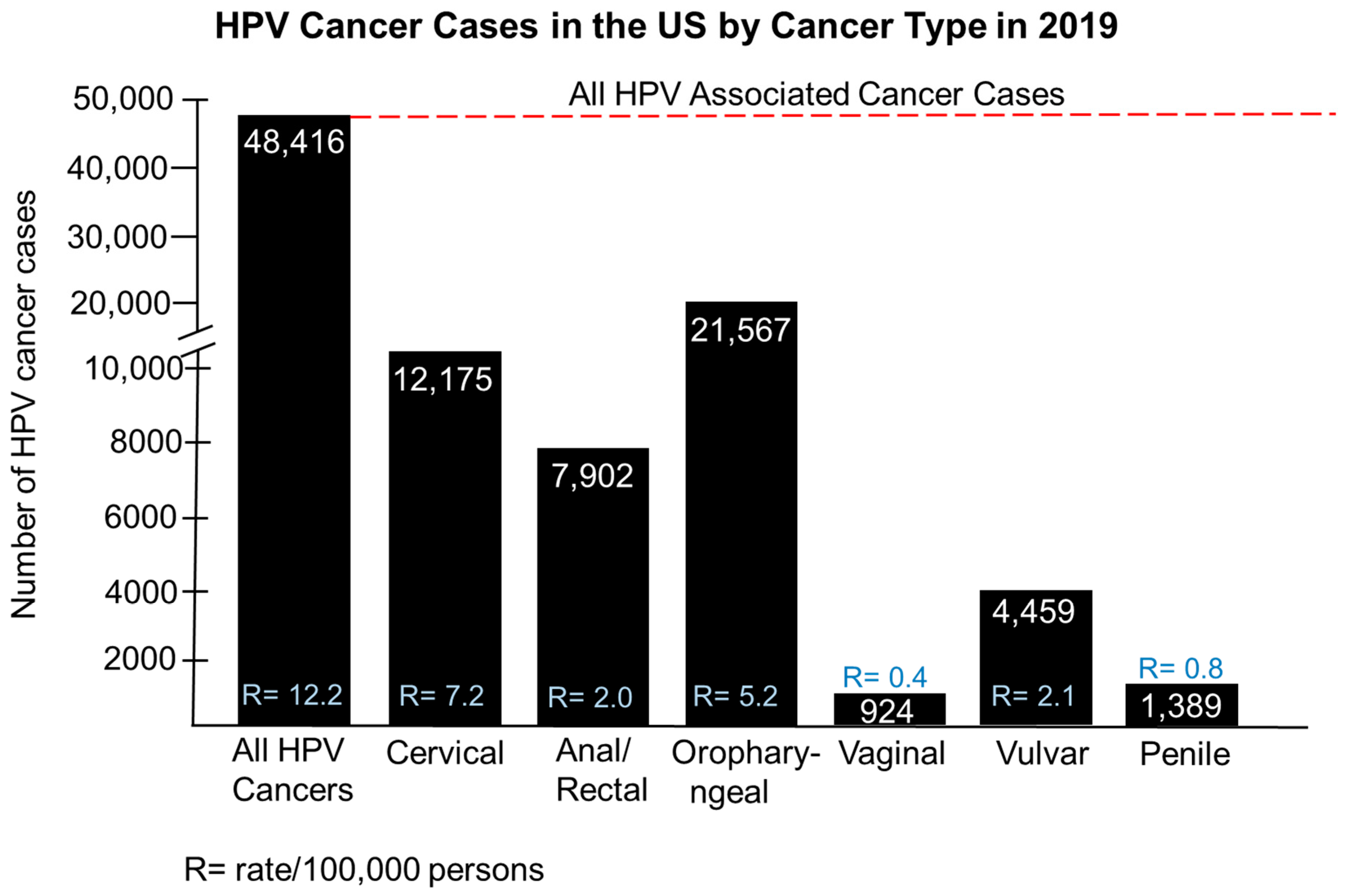 Pathogens 14 00311 g002