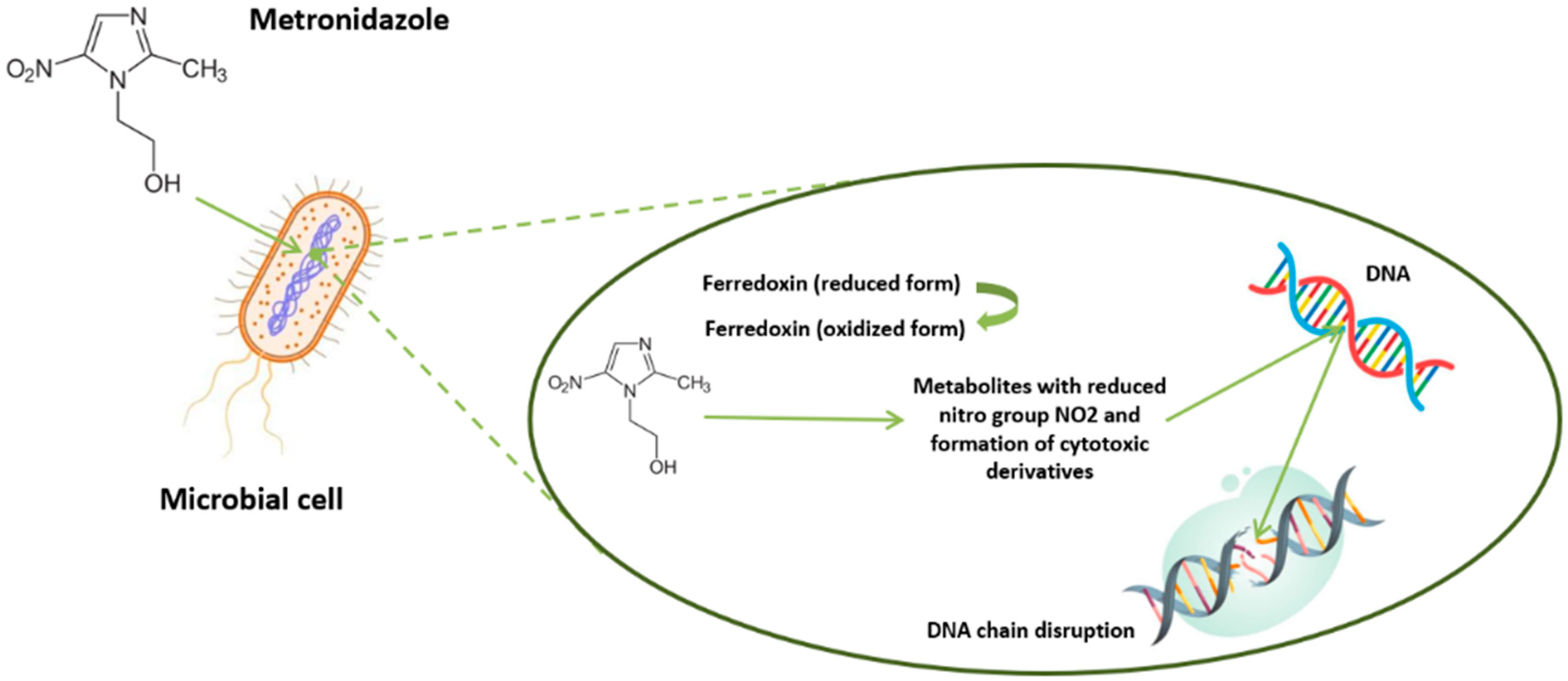 Pathogens 14 00313 g002 Pathogens 14 00313 g002