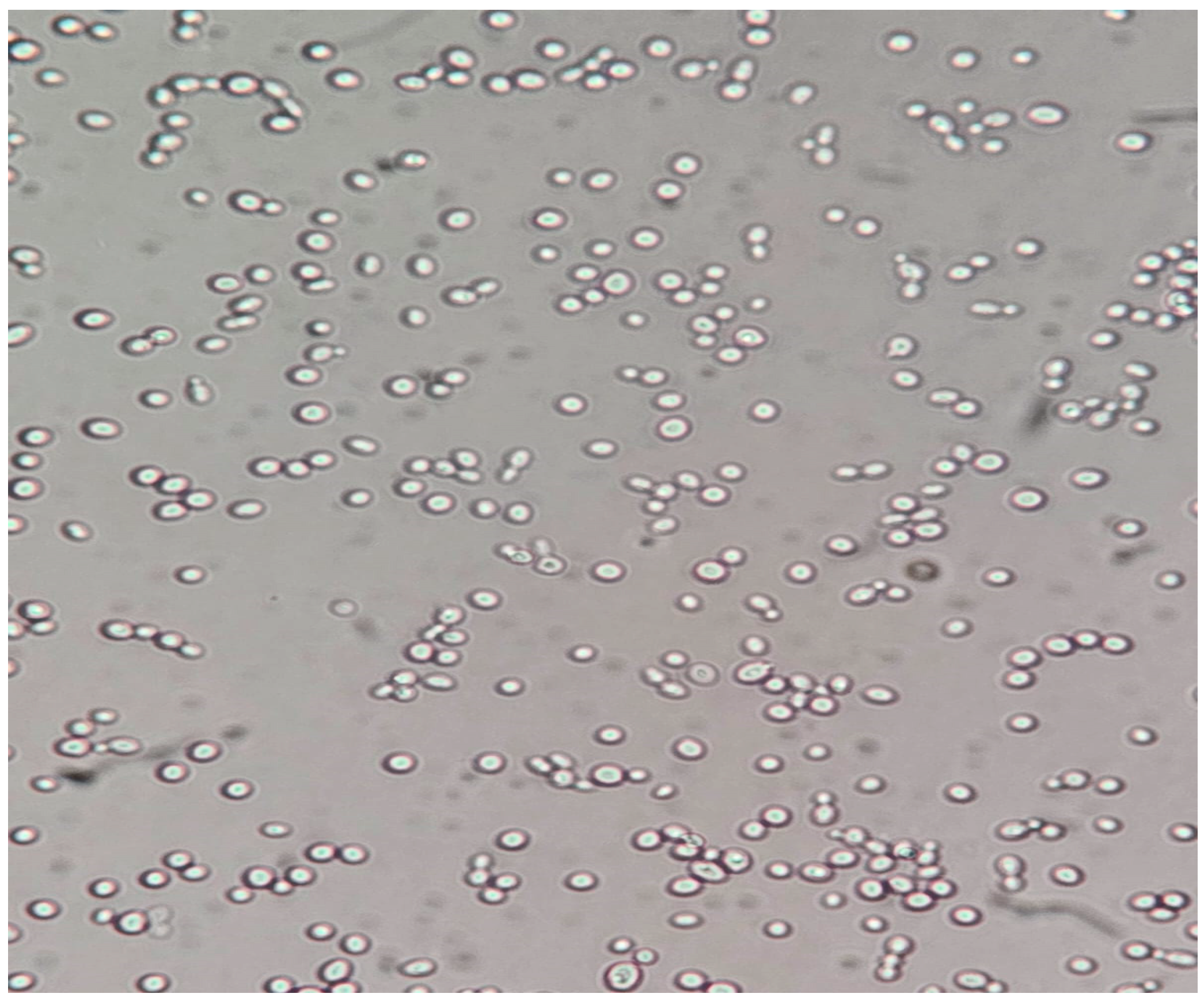 Pathogens 14 00327 g003