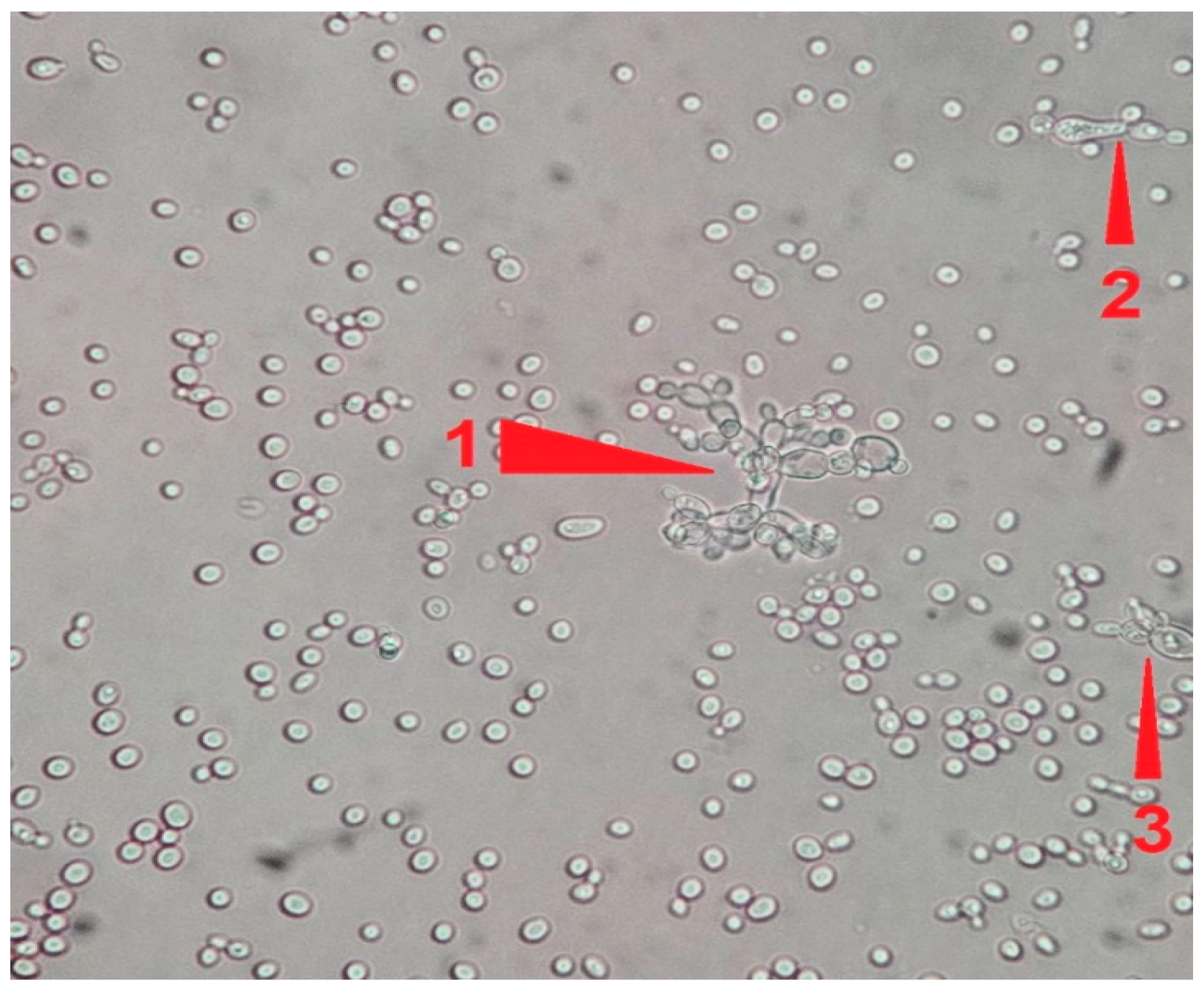 Pathogens 14 00327 g004