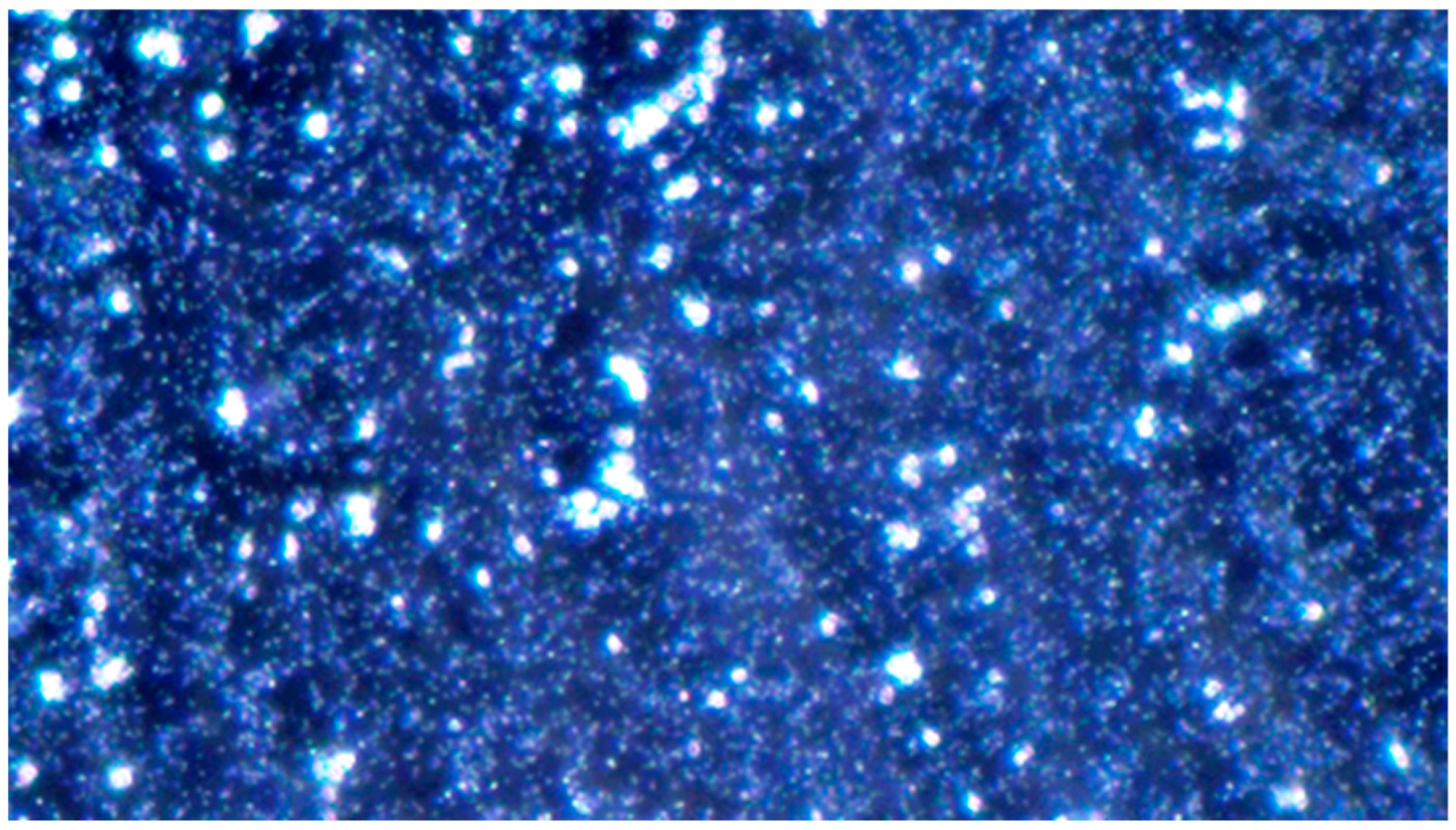 Pathogens 14 00327 g007