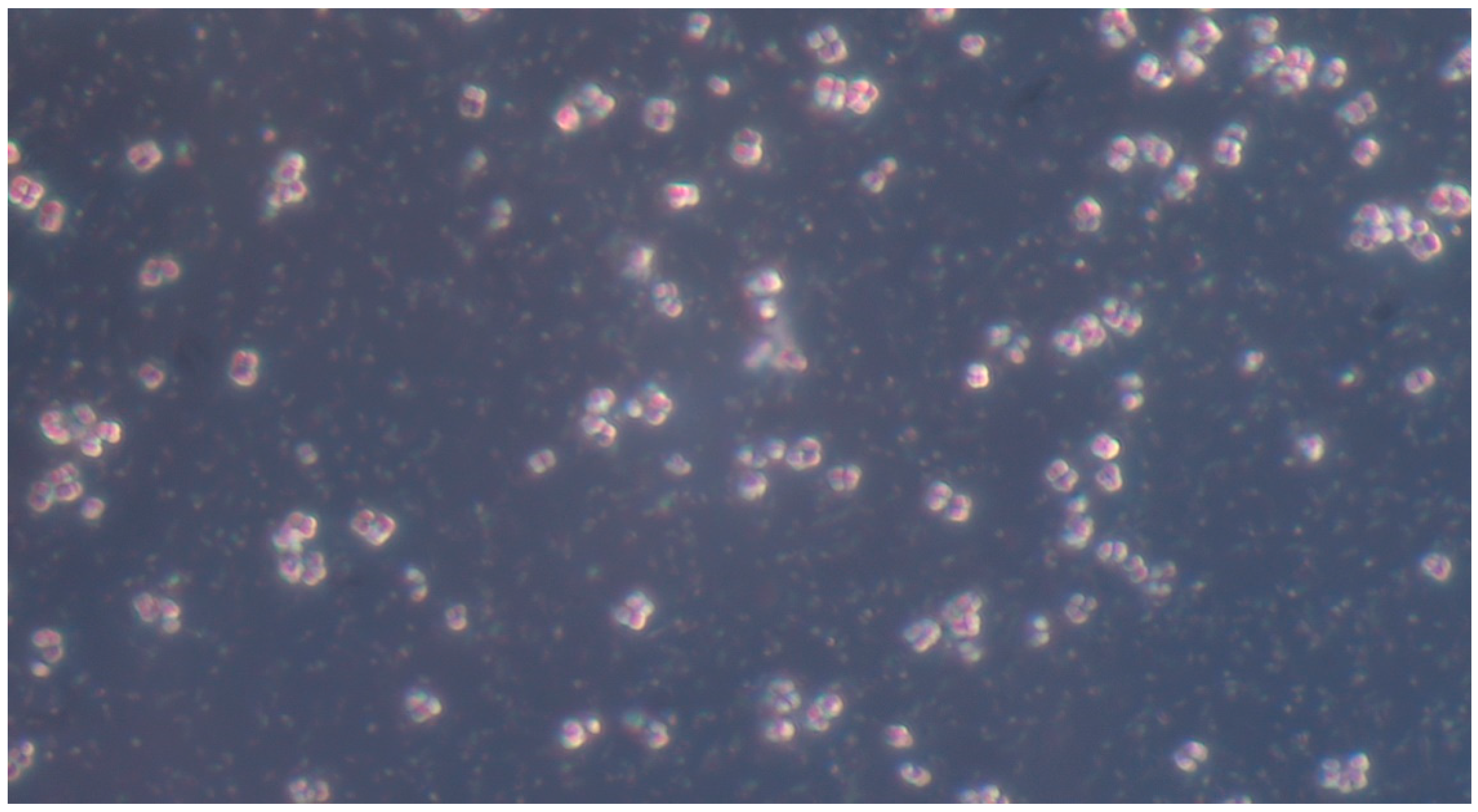 Pathogens 14 00327 g009