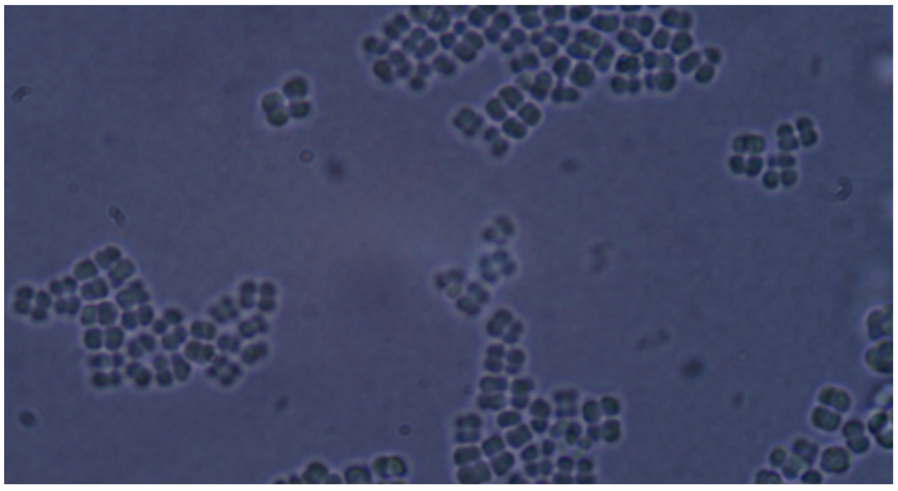 Pathogens 14 00327 g010