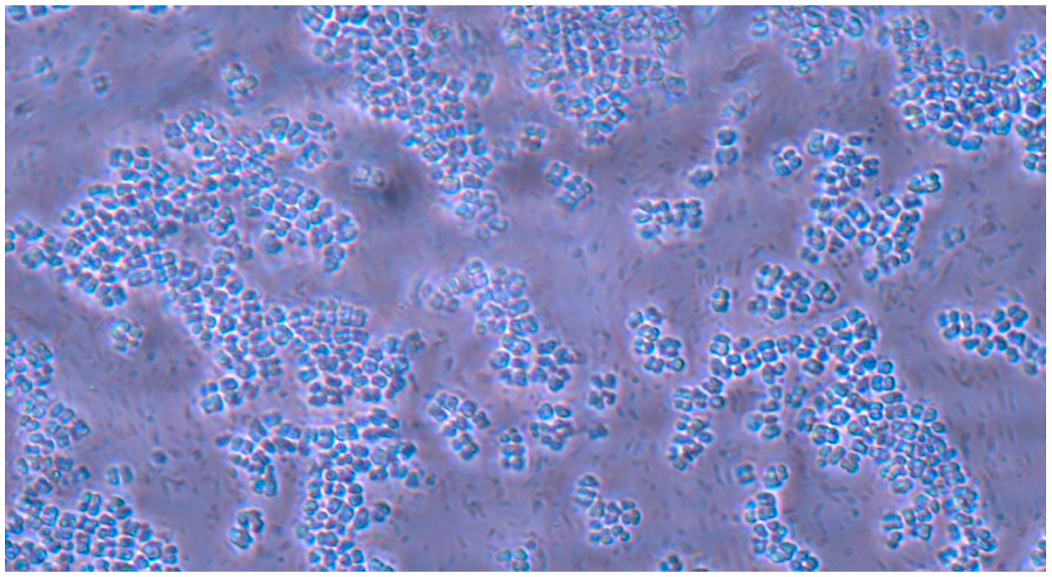 Pathogens 14 00327 g011