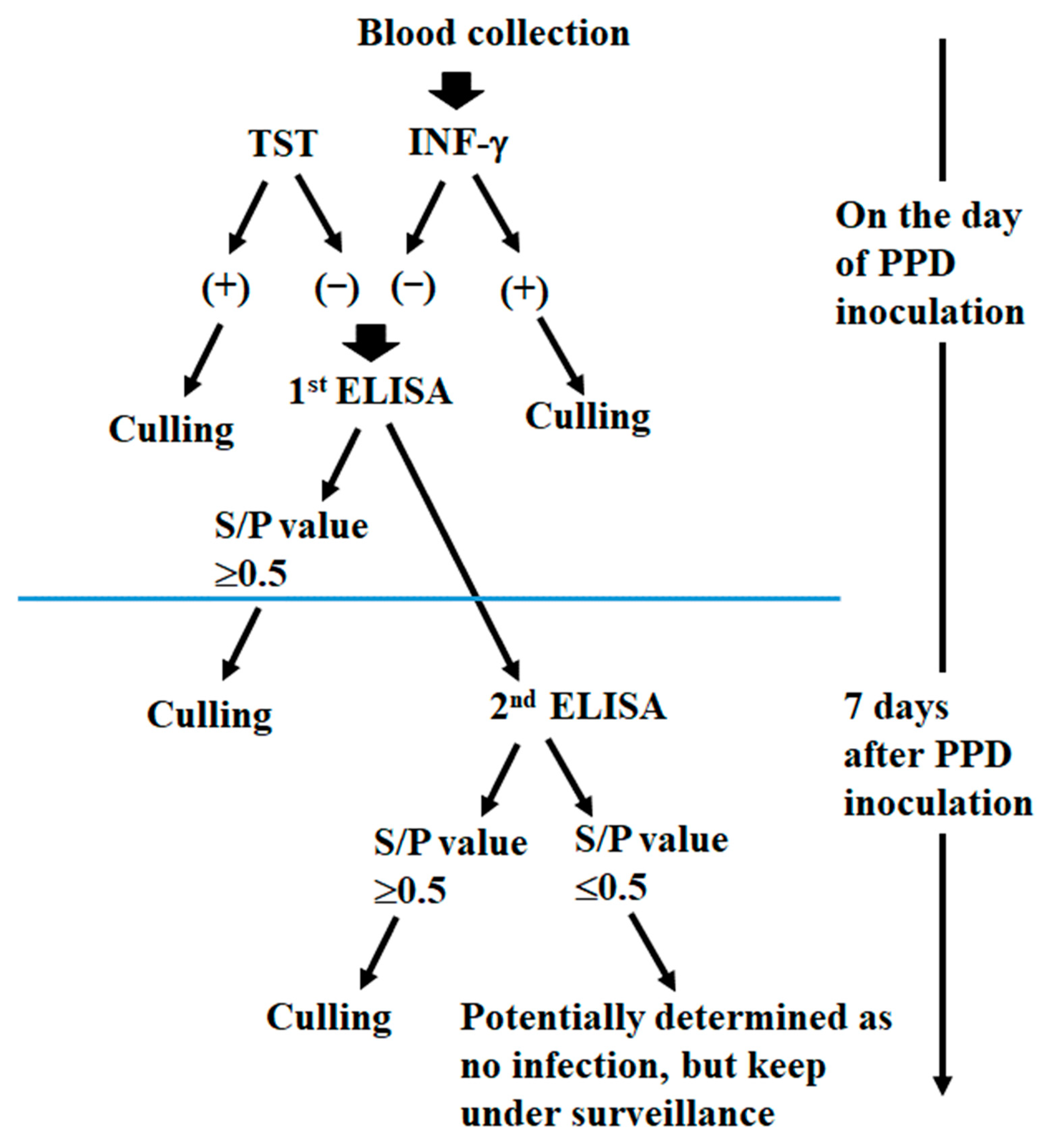 Pathogens 14 00331 g003