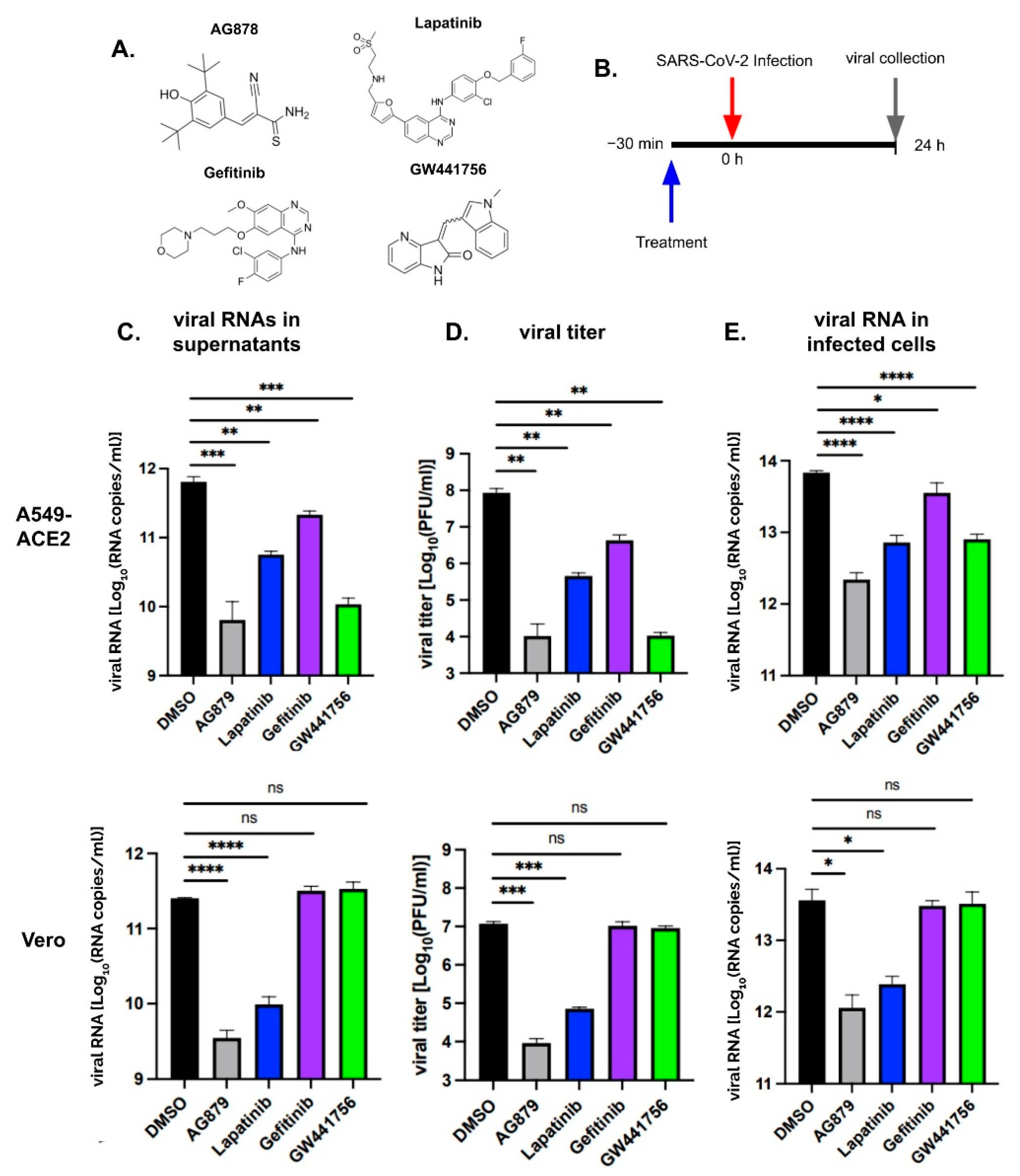 Pathogens 14 00333 g001