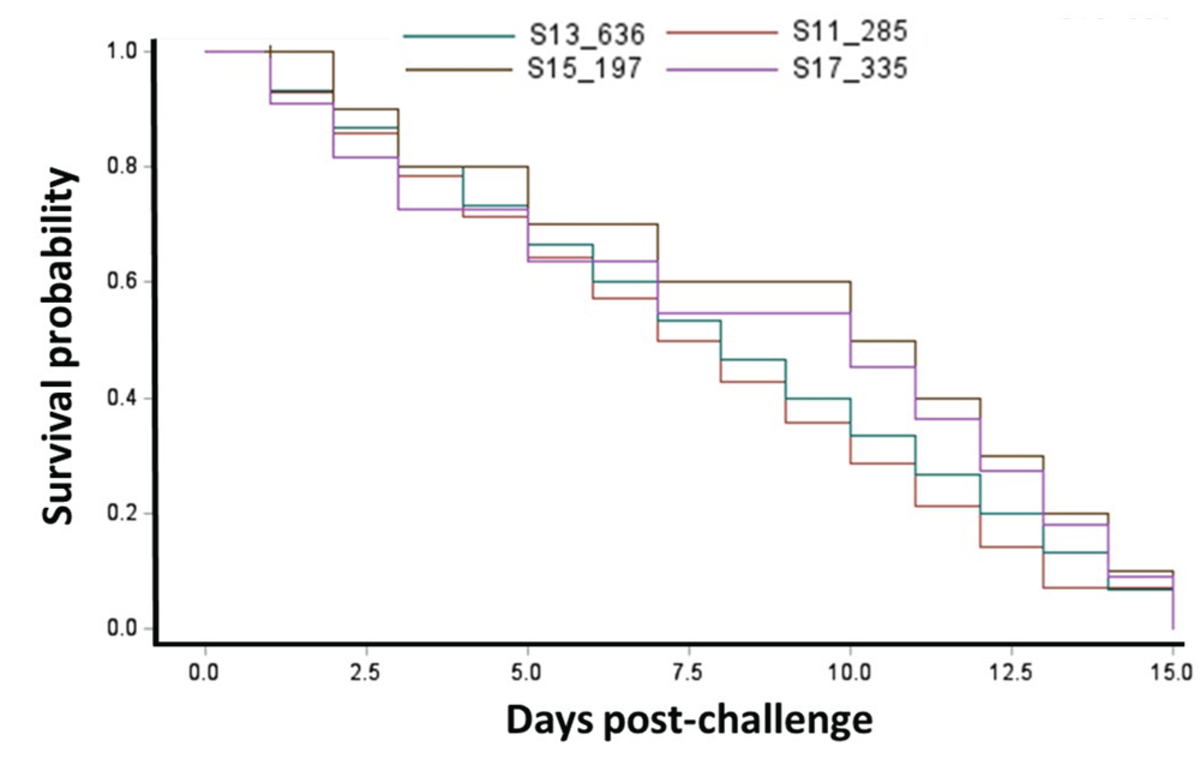 Pathogens 14 00334 g004