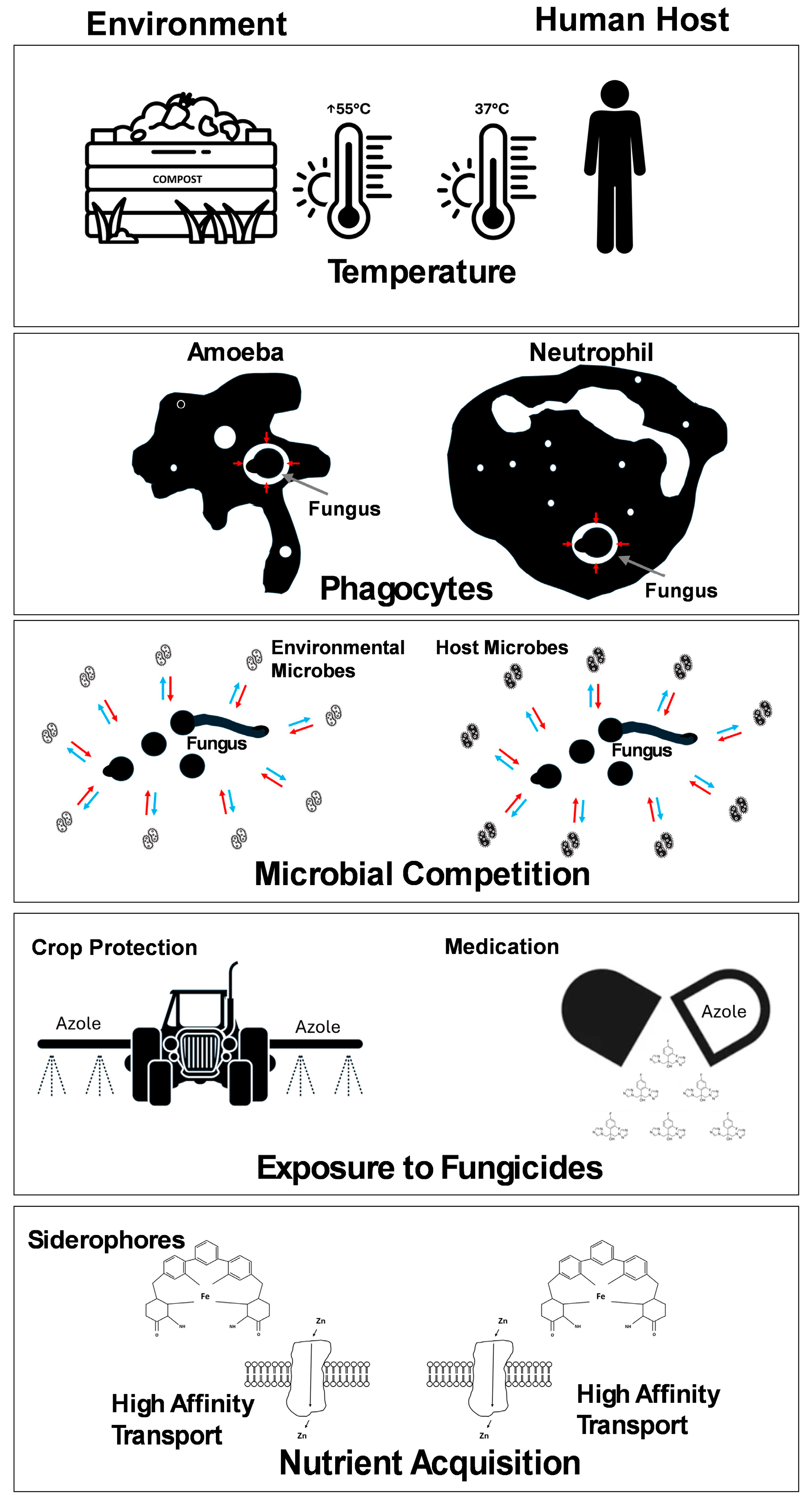 Pathogens 14 00335 g001