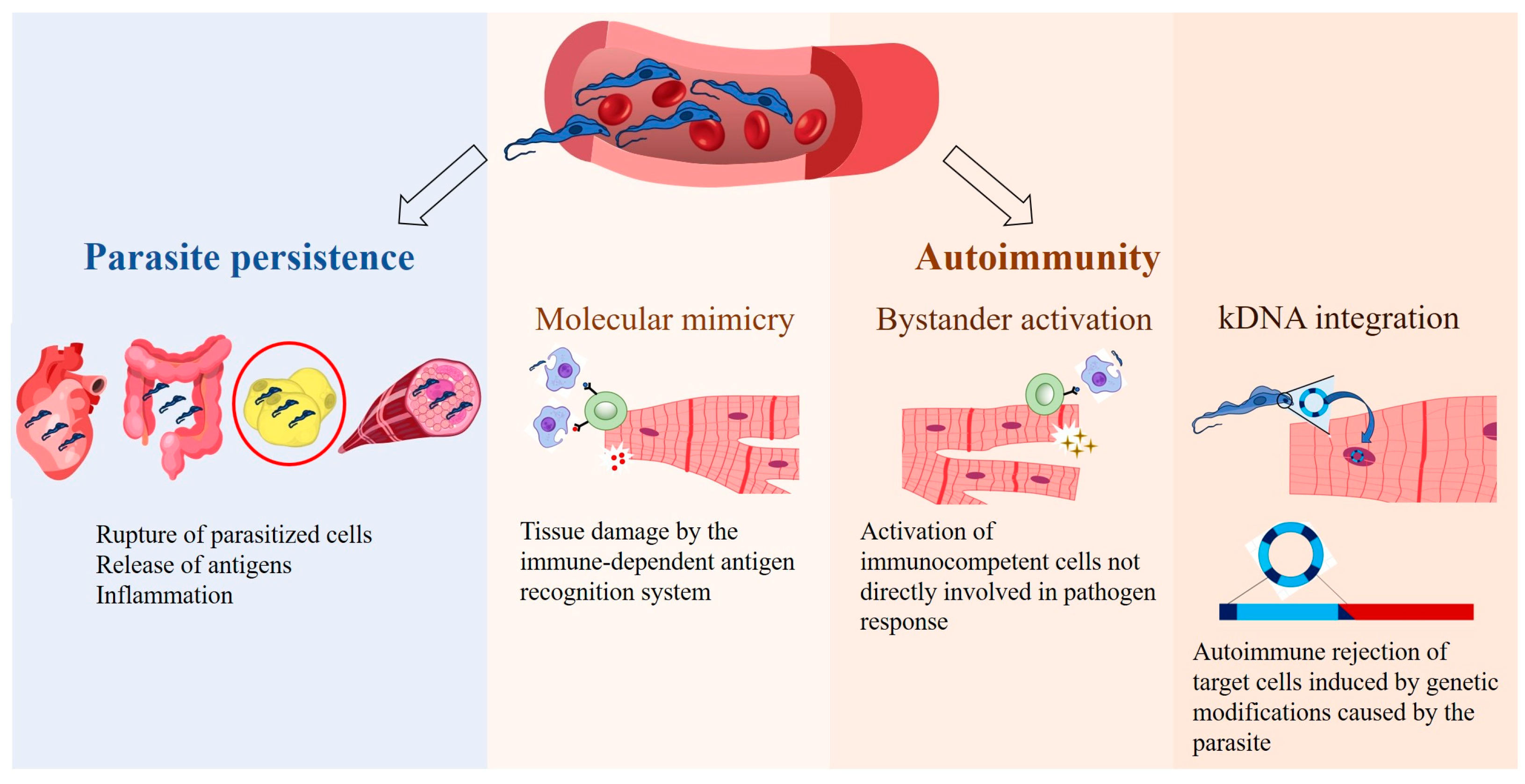 Pathogens 14 00339 g001