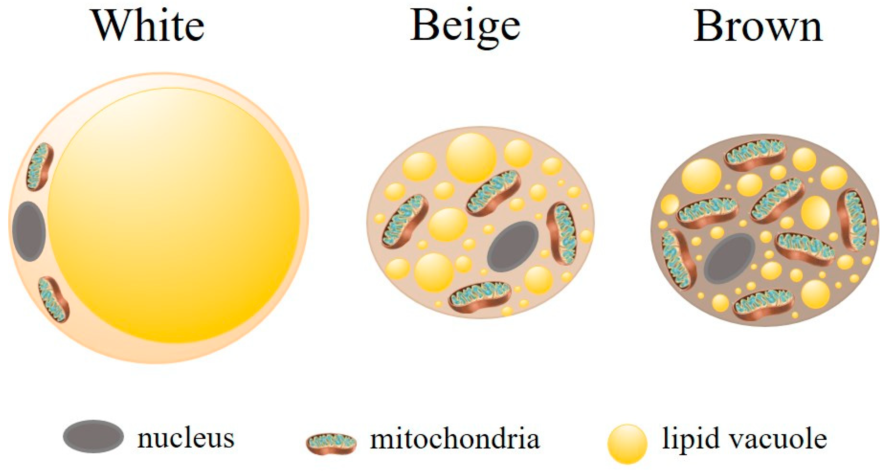 Pathogens 14 00339 g002