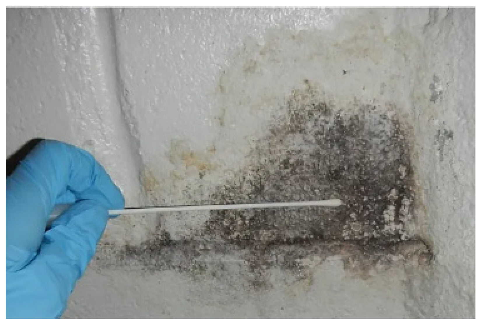 Pathogens 14 00345 g003