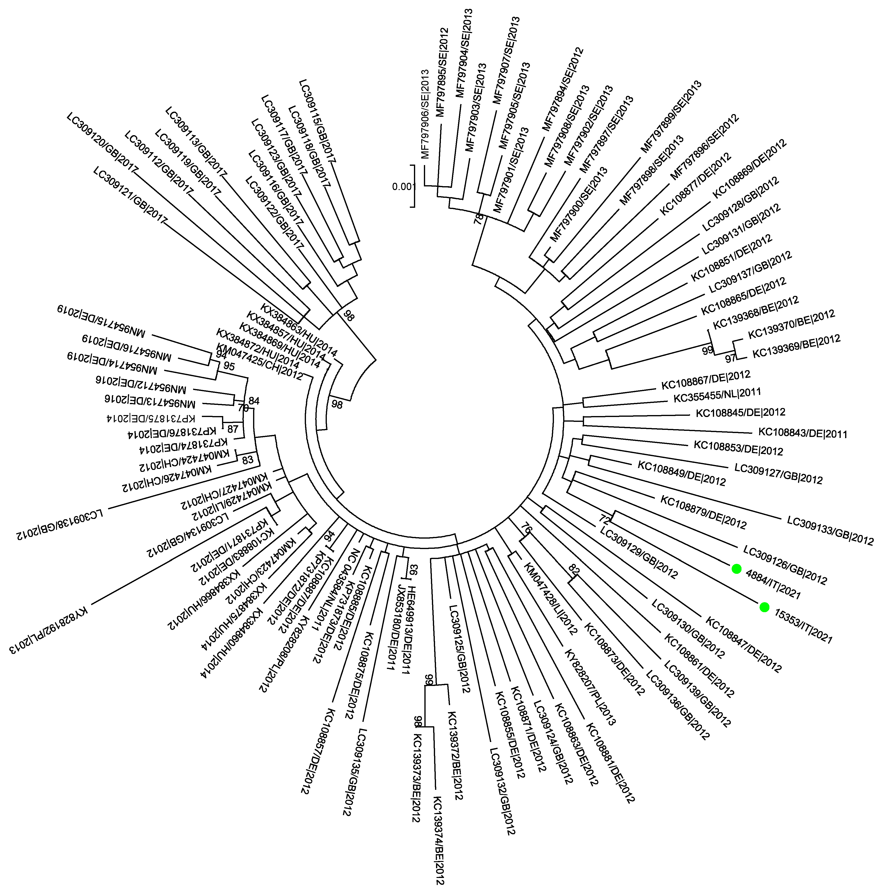 Pathogens 14 00349 g002