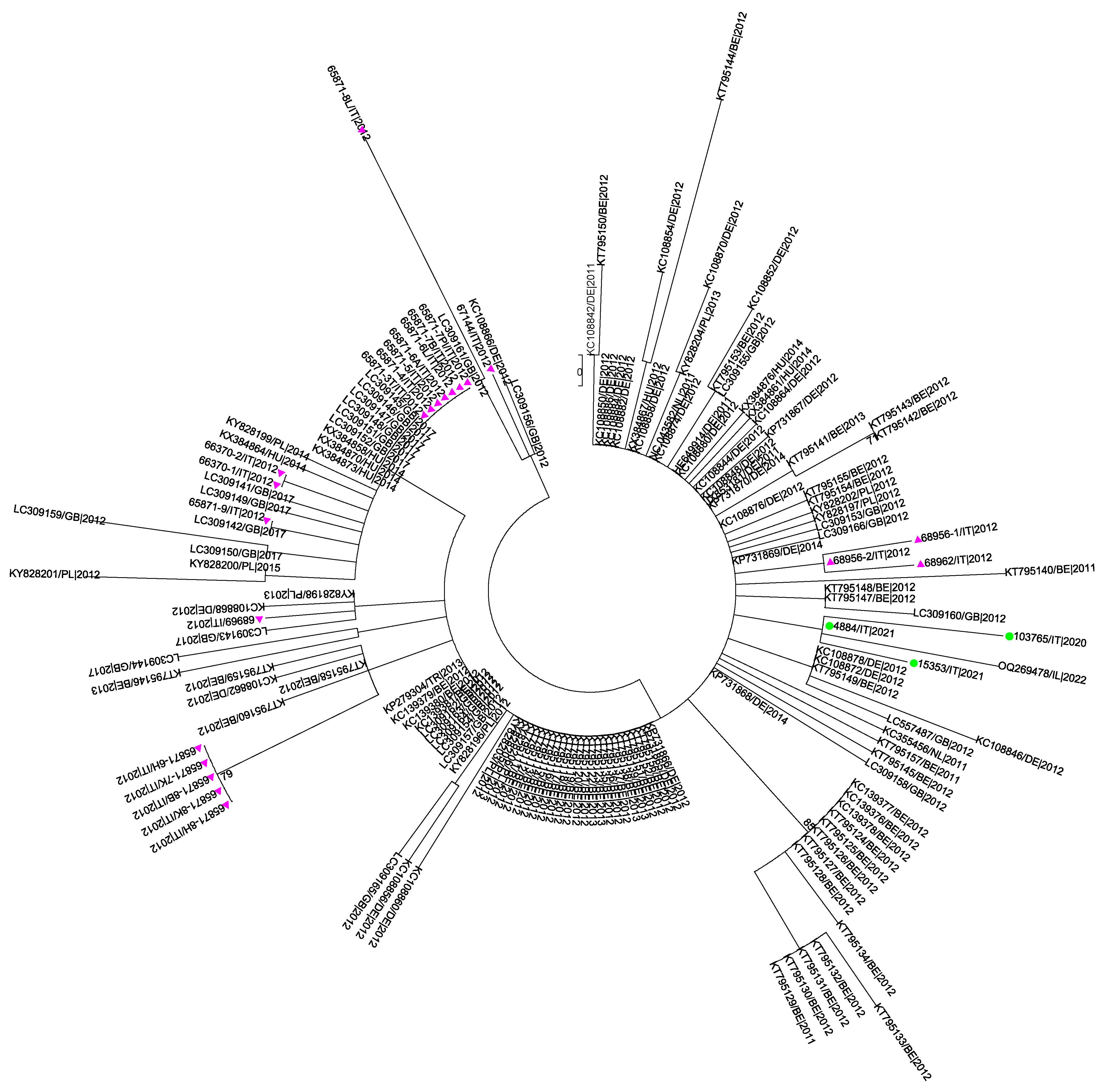 Pathogens 14 00349 g003