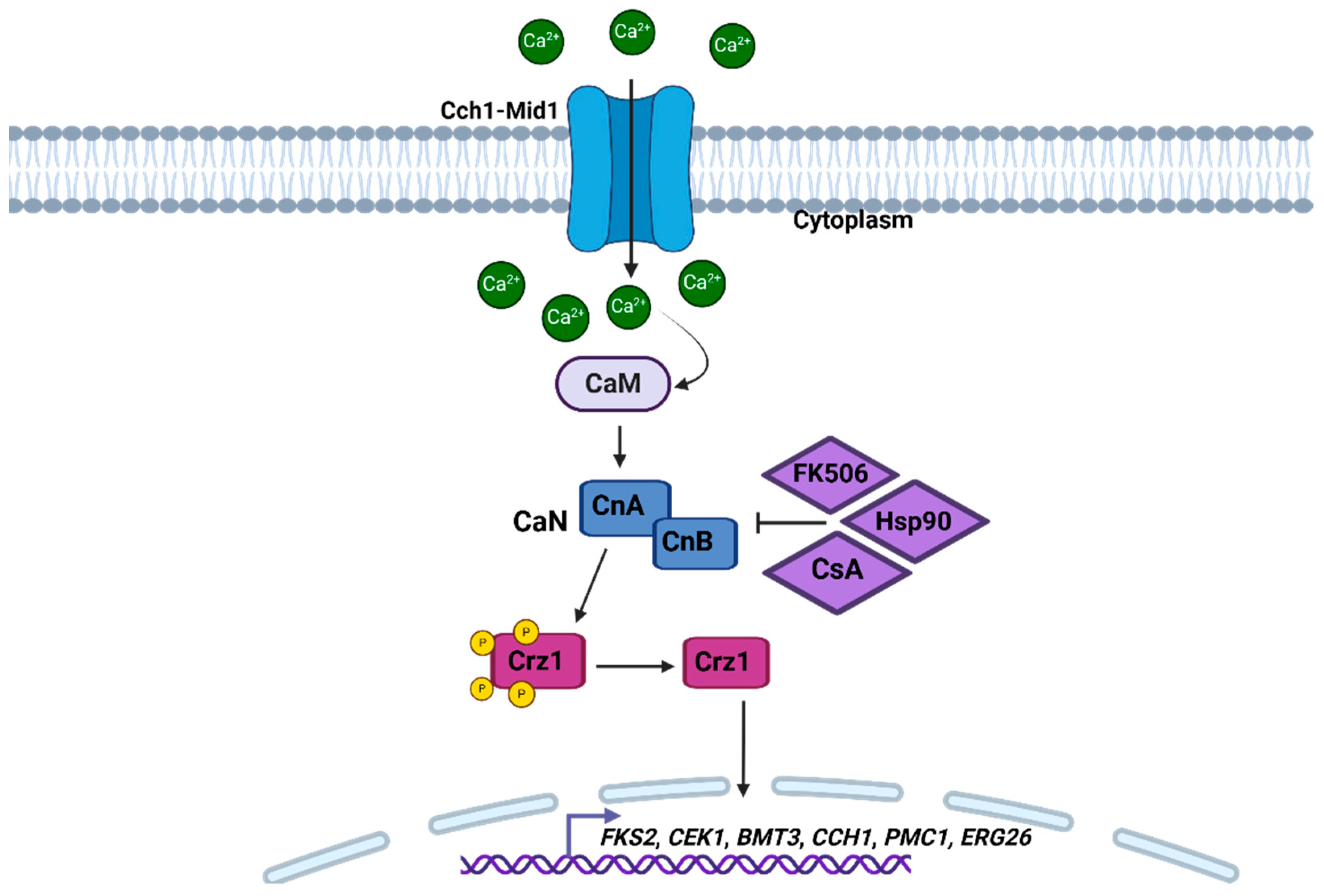 Pathogens 14 00350 g002 Pathogens 14 00350 g002