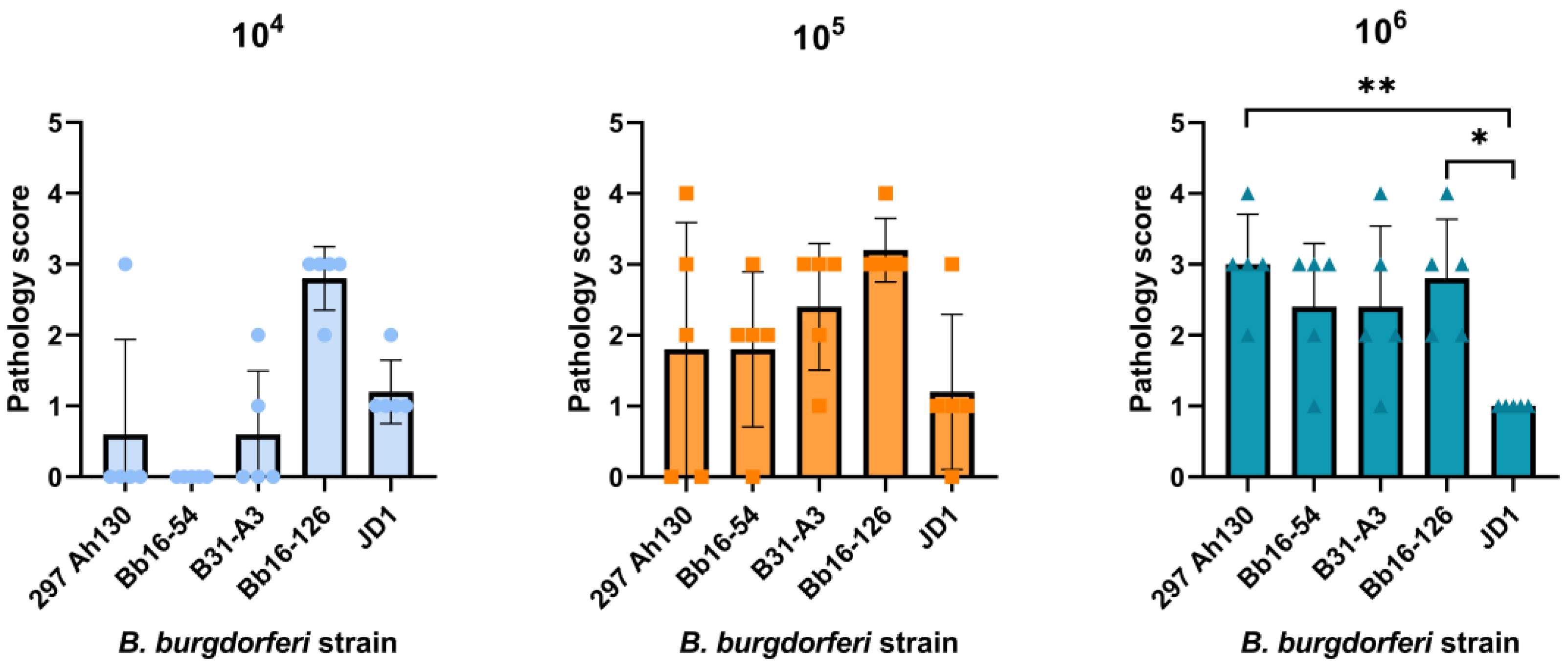 Pathogens 14 00352 g003 Pathogens 14 00352 g003