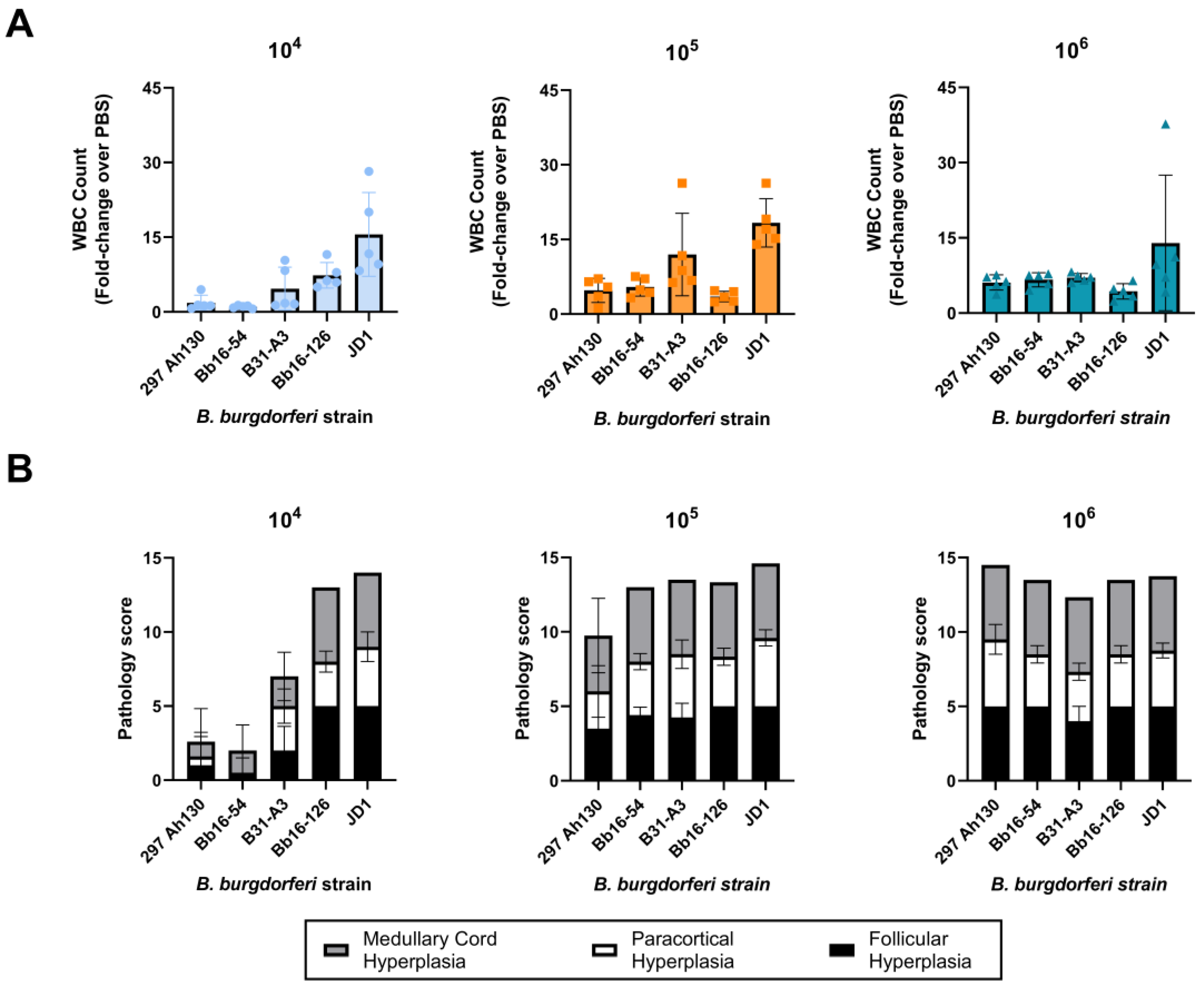 Pathogens 14 00352 g005 Pathogens 14 00352 g005