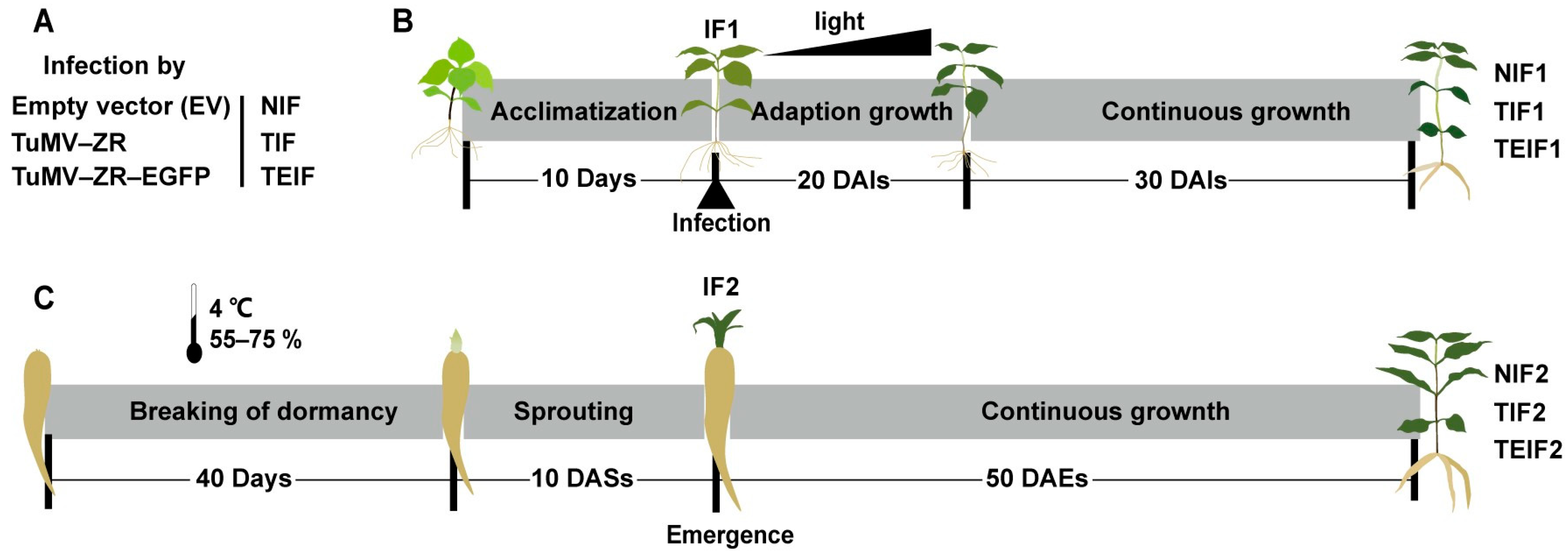 Pathogens 14 00353 g001