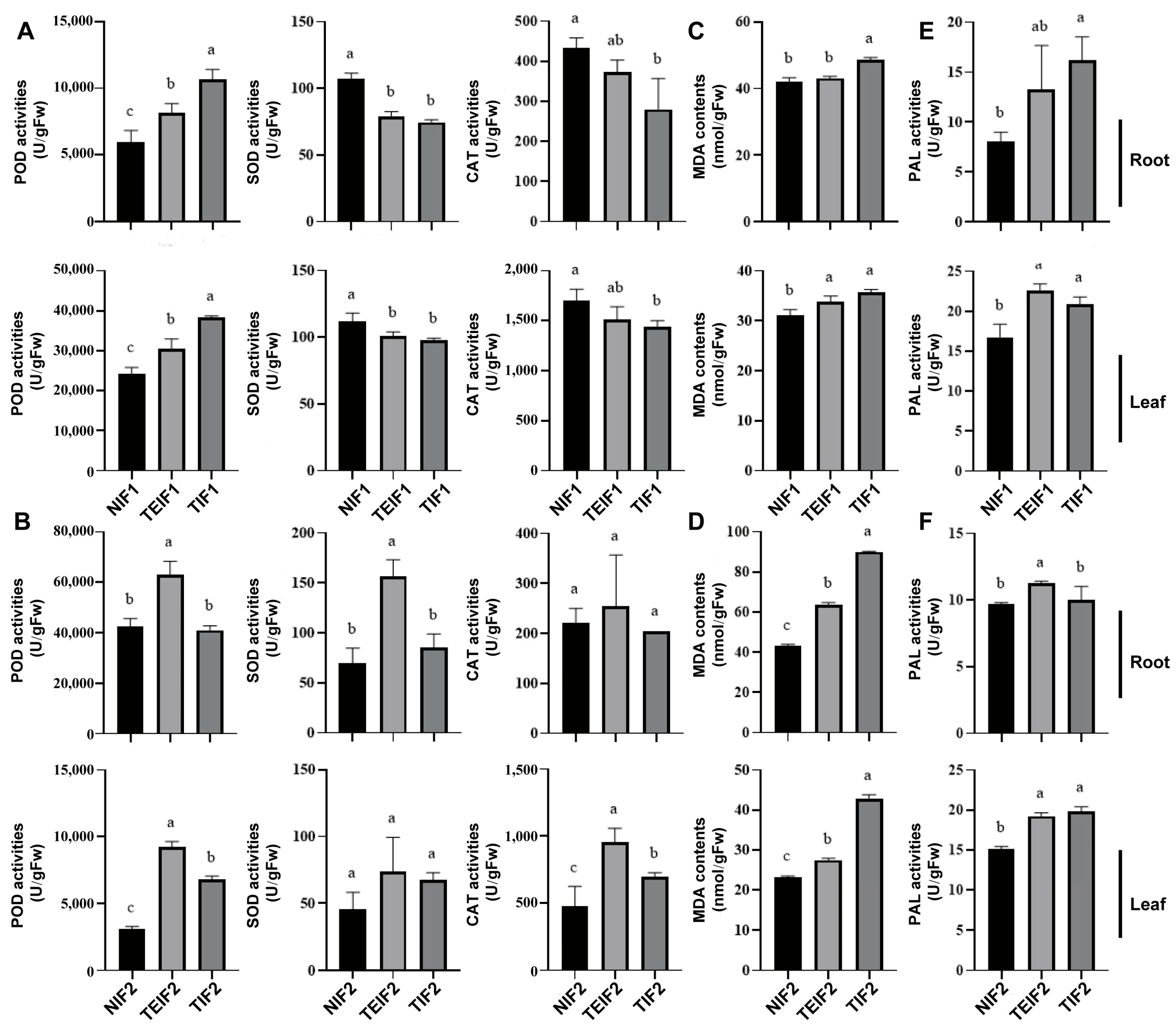 Pathogens 14 00353 g006