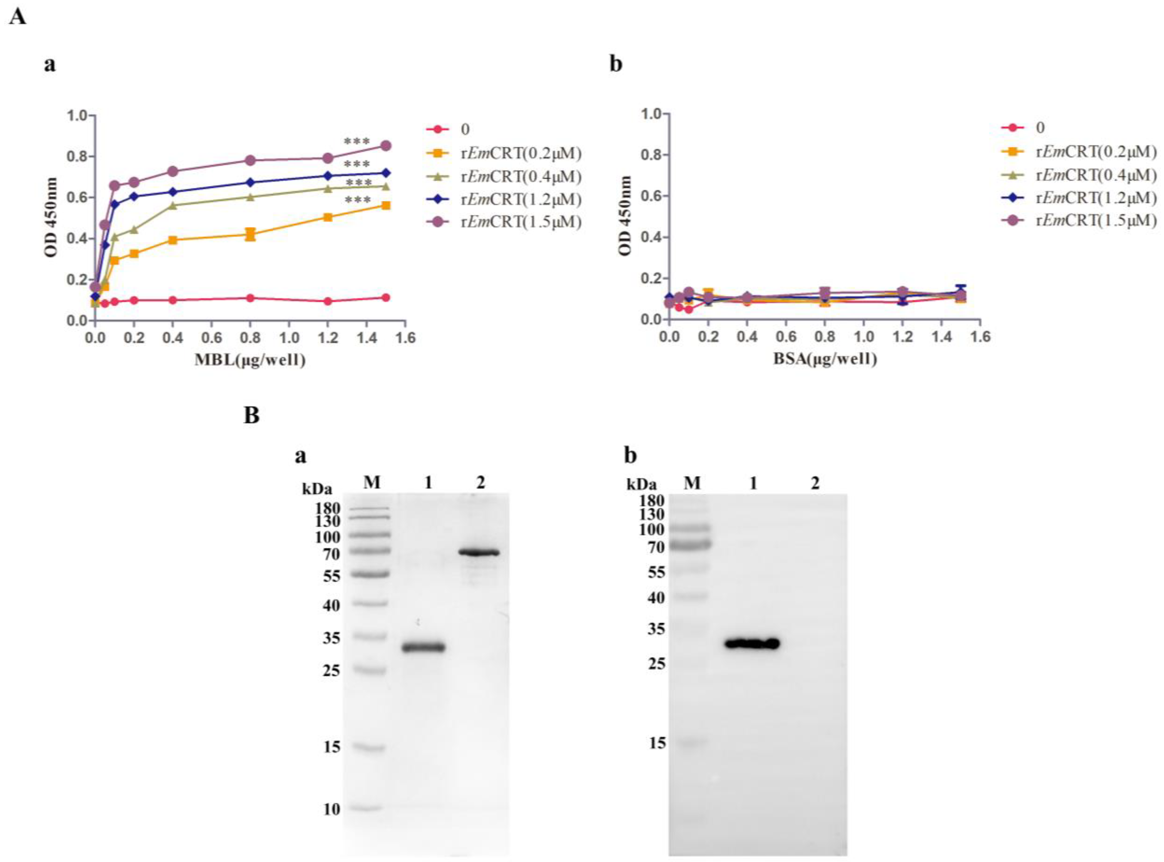 Pathogens 14 00354 g002 Pathogens 14 00354 g002