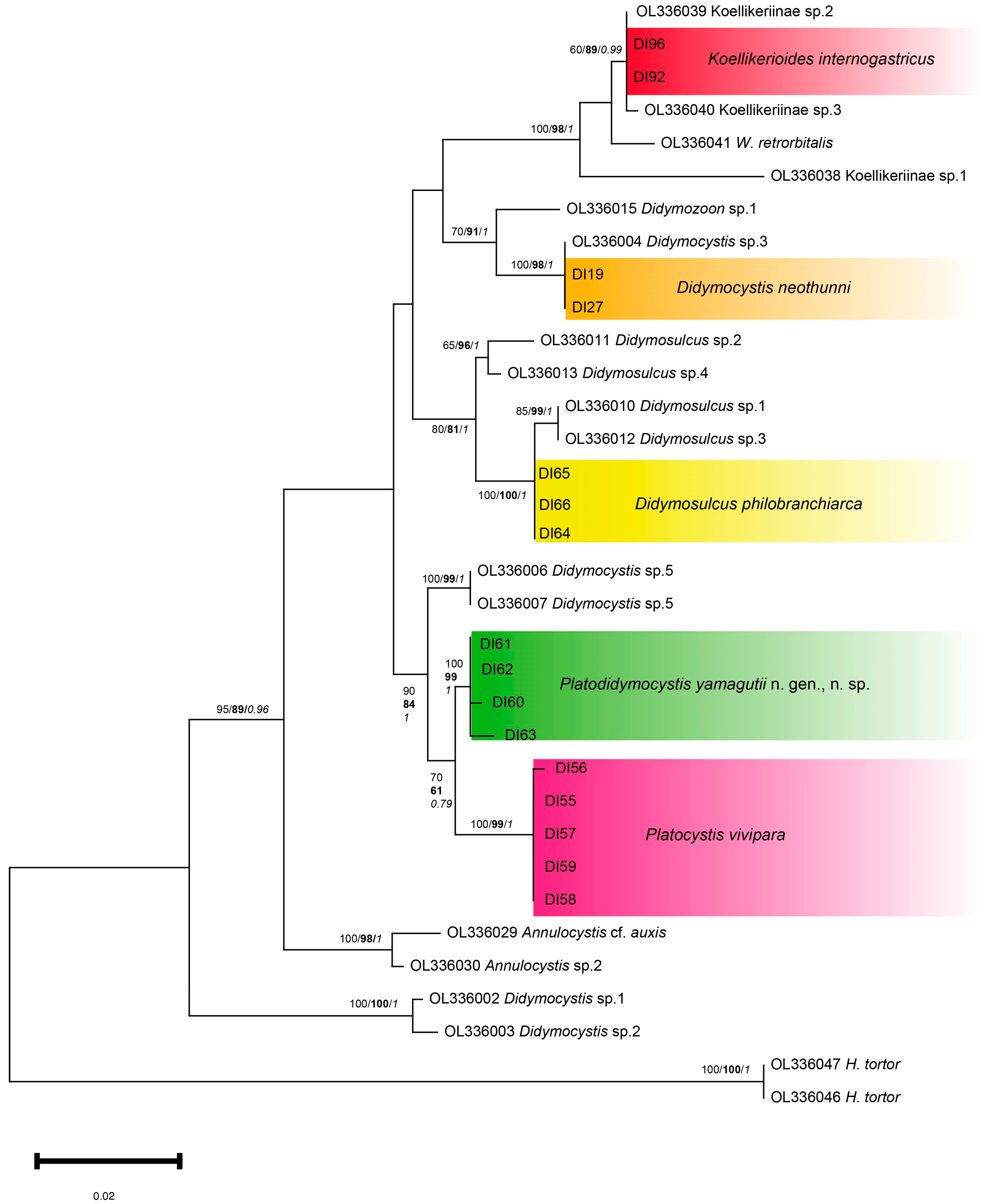 Pathogens 14 00359 g004
