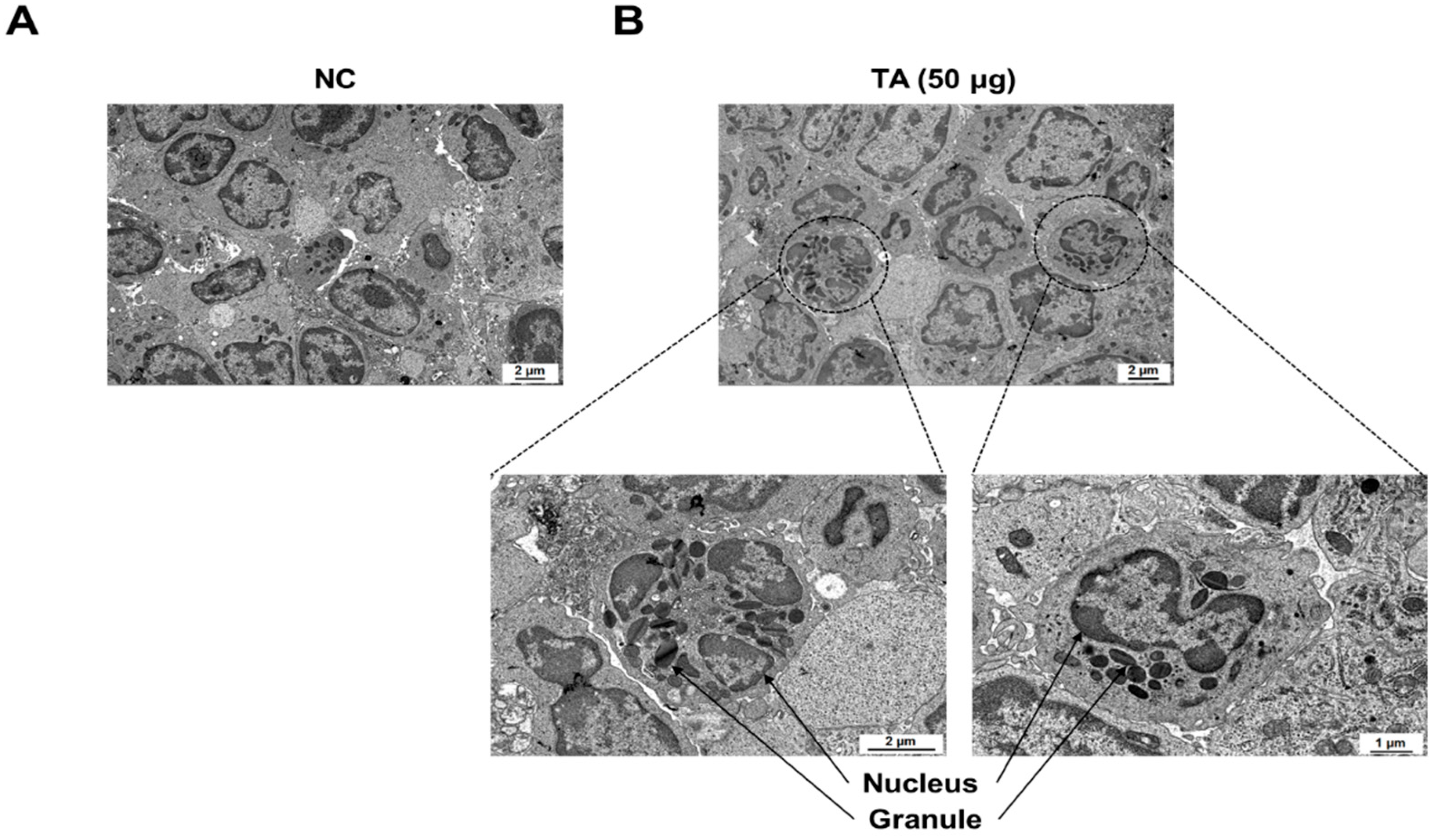 Pathogens 14 00366 g006