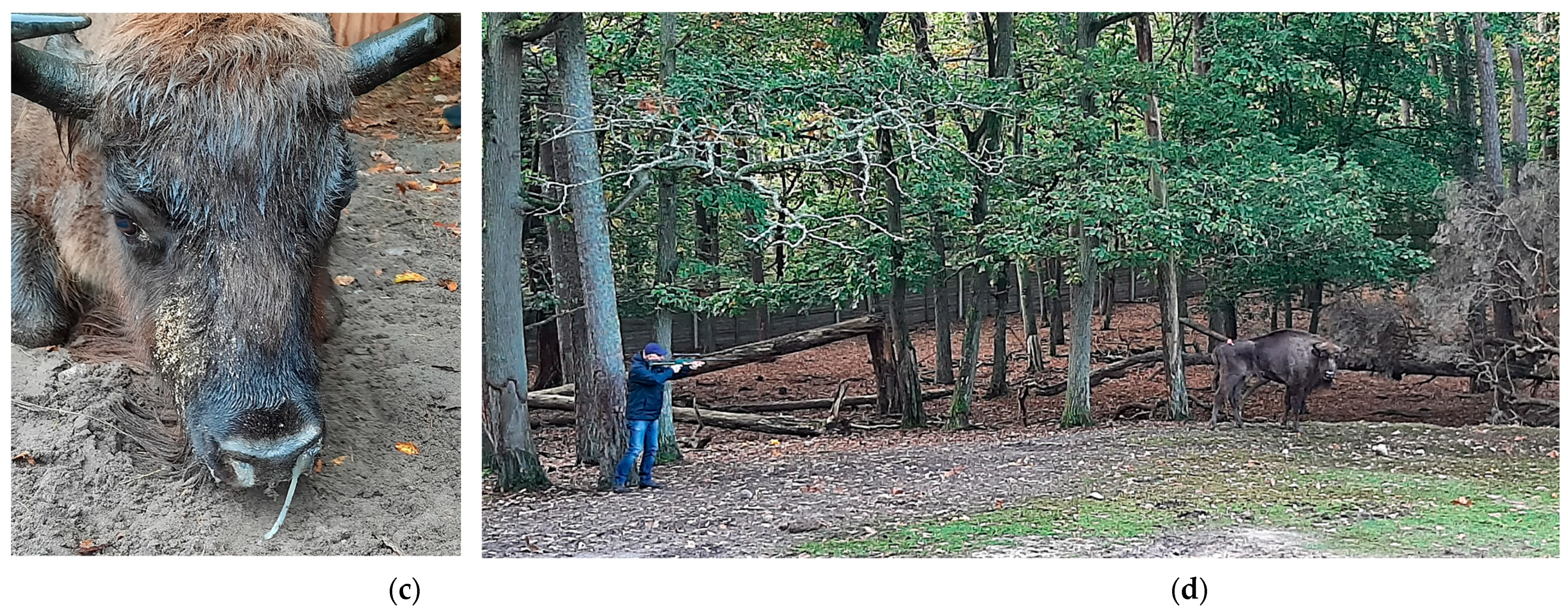 Pathogens 14 00377 g001b