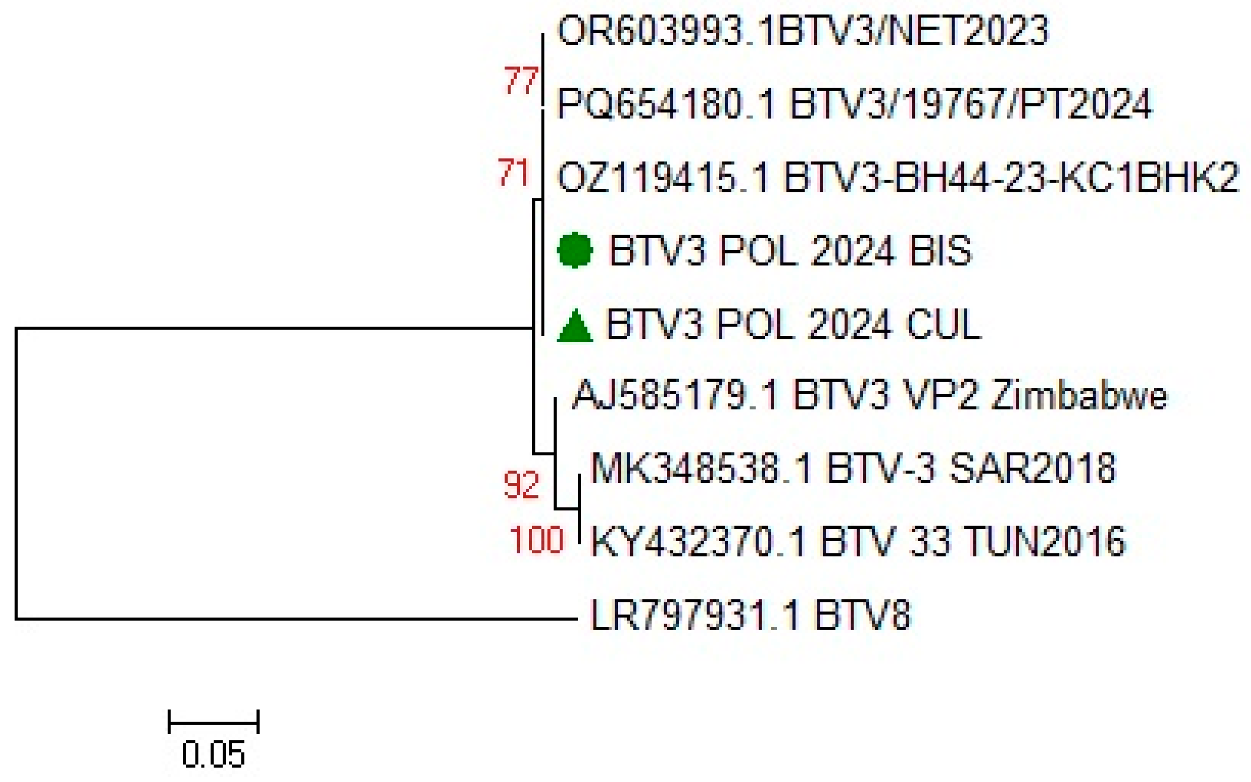 Pathogens 14 00377 g008